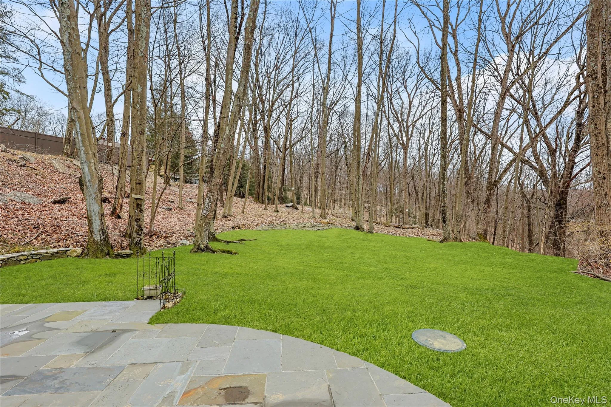 View of grassy yard and patio View of grassy yard and patio