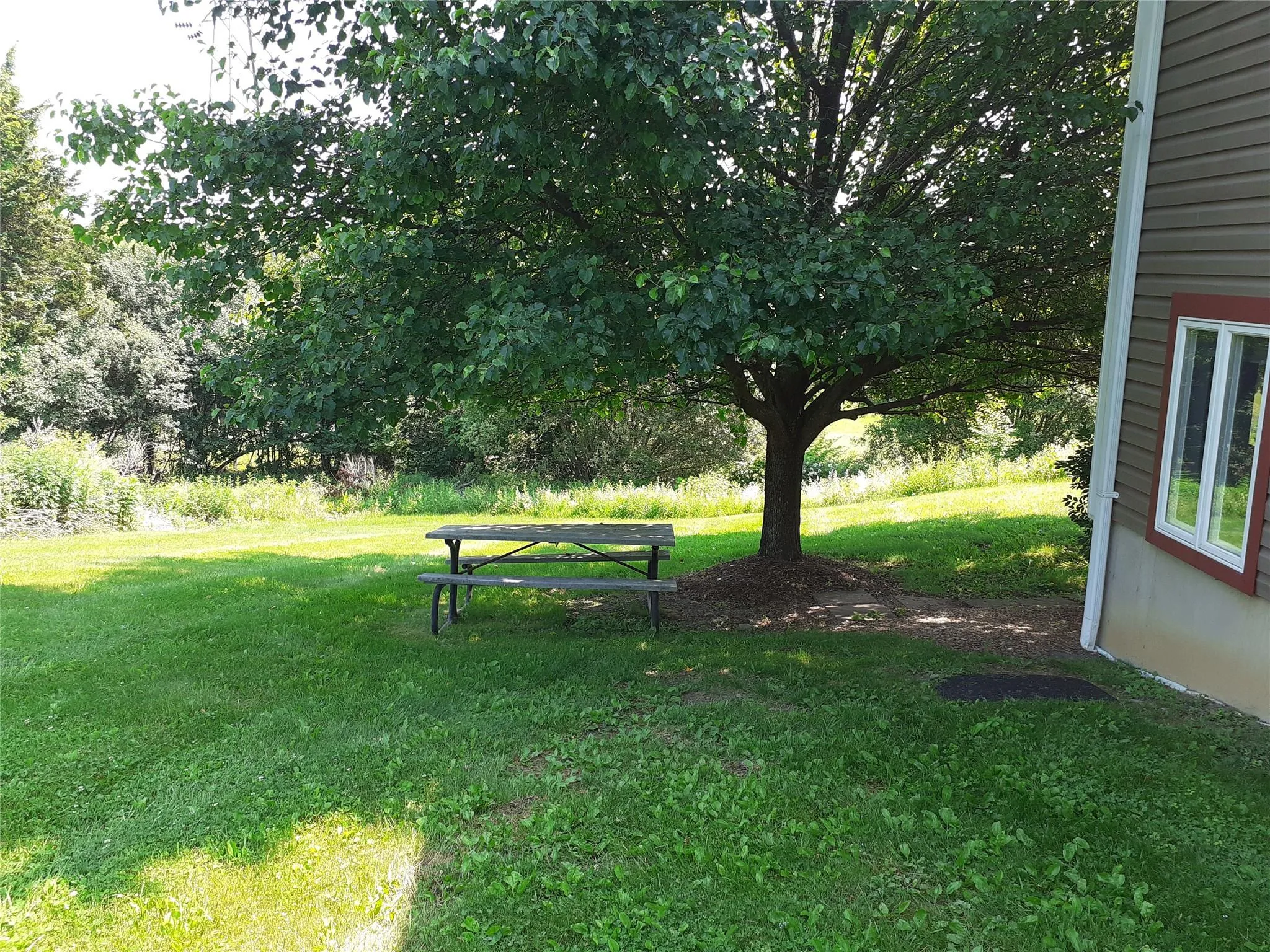 View of green lawn View of green lawn