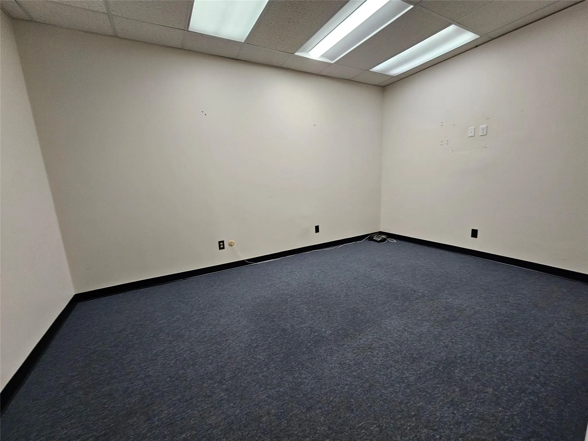 Carpeted spare room featuring a paneled ceiling and baseboards Carpeted spare room featuring a paneled ceiling and baseboards