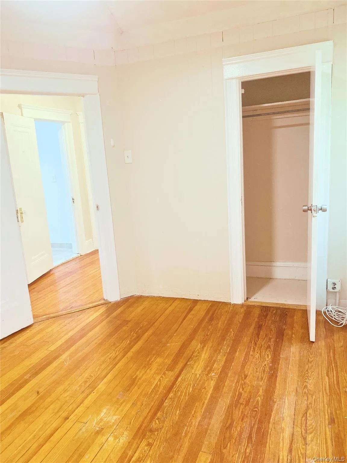 Unfurnished bedroom with light wood-style floors and a closet Unfurnished bedroom with light wood-style floors and a closet