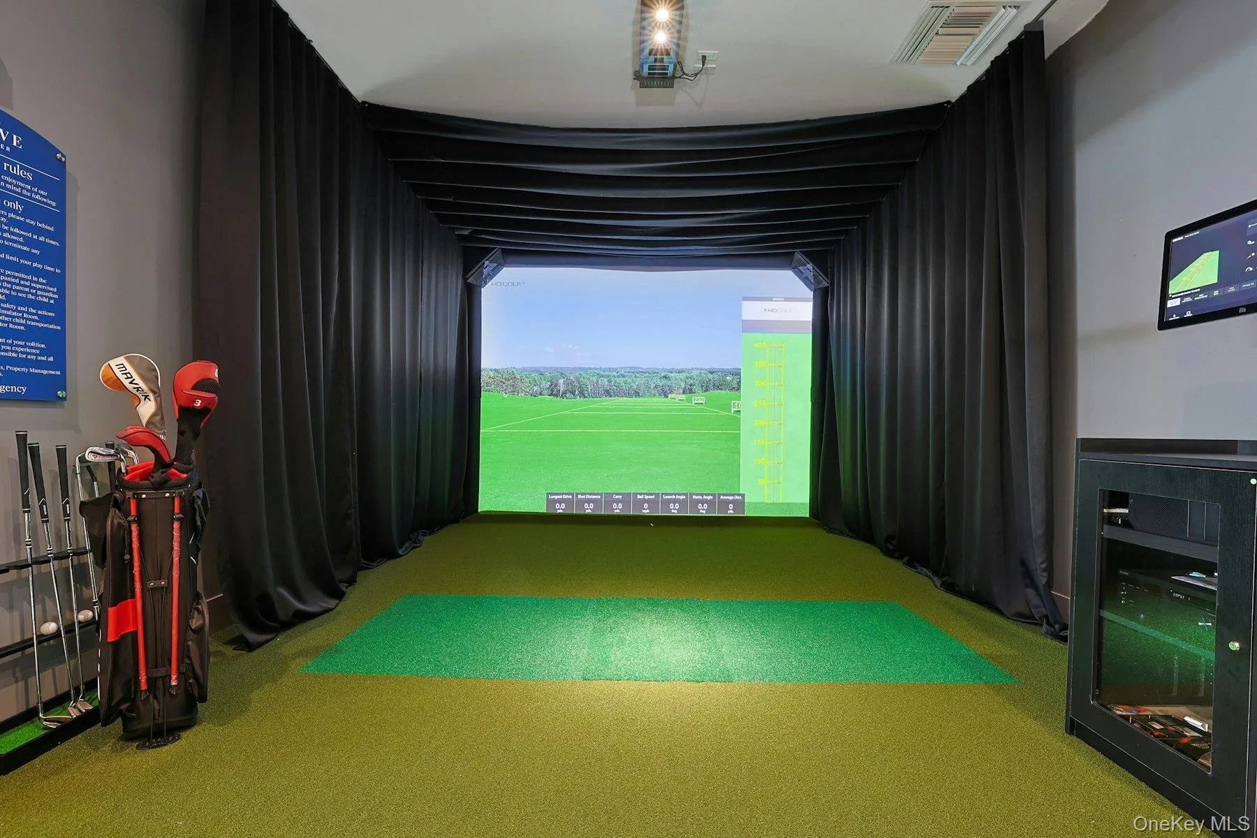Rec room with Golf Simulator Rec room with Golf Simulator