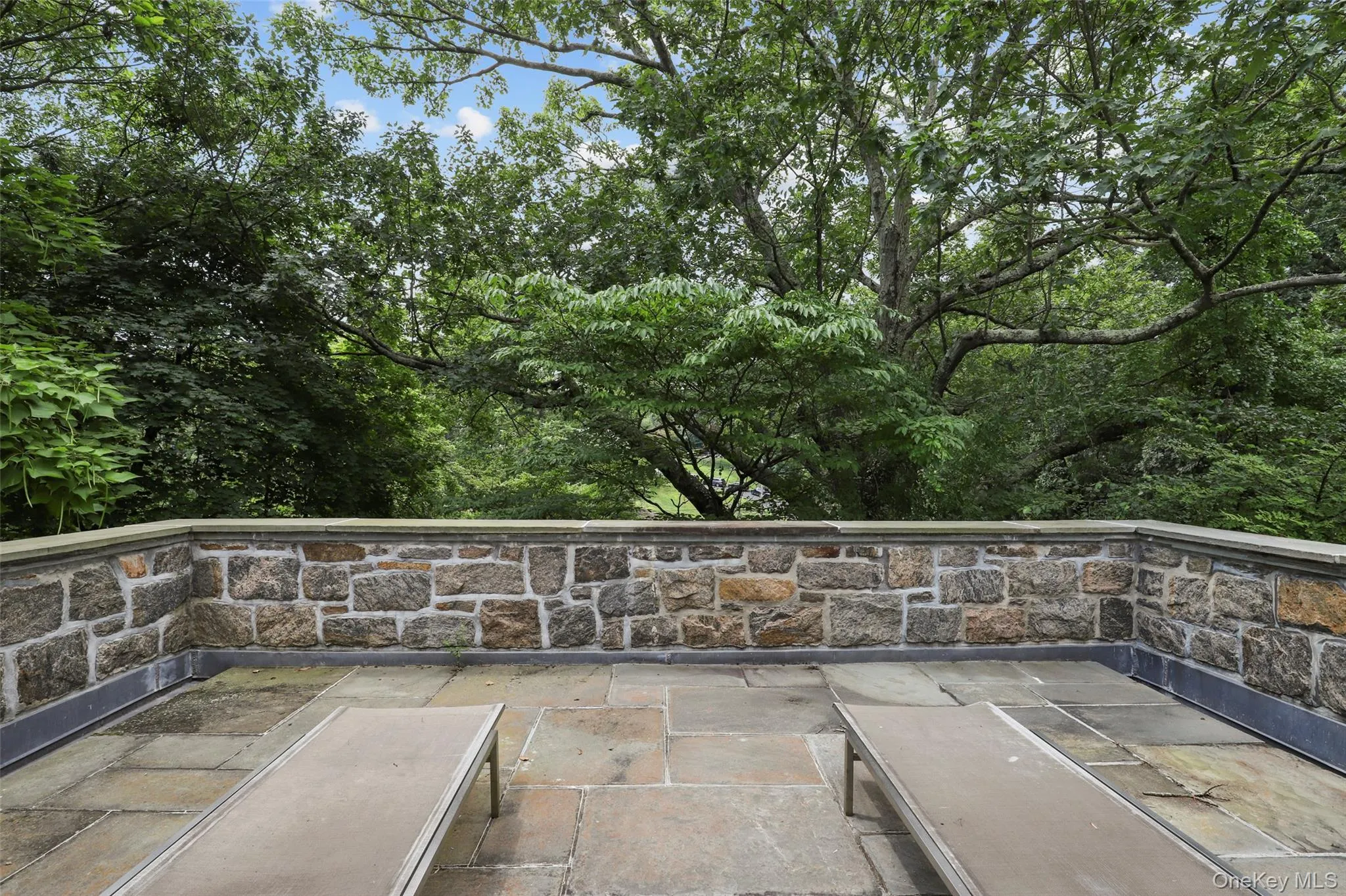 383 Woodlands Road, Harrison, NY, 6 Bedrooms Bedrooms, 16 Rooms Rooms,7 BathroomsBathrooms,Residential,For Rent,Woodlands,0,878004 383 Woodlands Road, Harrison, NY, 6 Bedrooms Bedrooms, 16 Rooms Rooms,7 BathroomsBathrooms,Residential,For Rent,Woodlands,0,878004