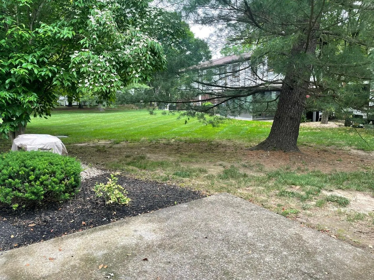 View of grassy yard View of grassy yard