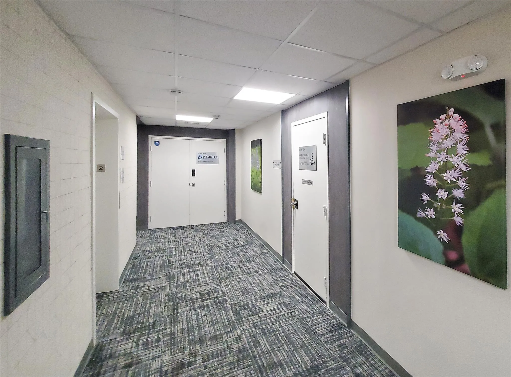Hallway featuring carpet and a paneled ceiling Hallway featuring carpet and a paneled ceiling