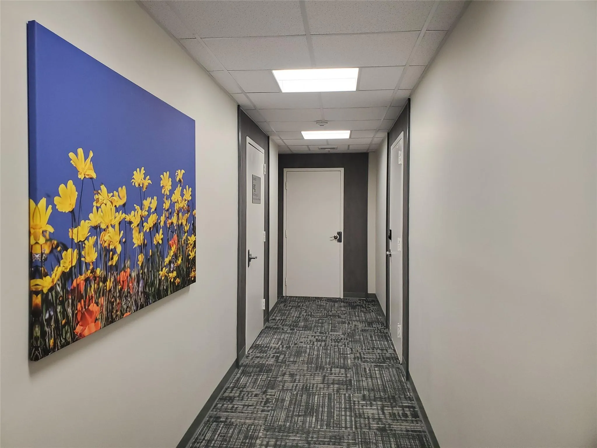 Hallway with a drop ceiling and carpet Hallway with a drop ceiling and carpet