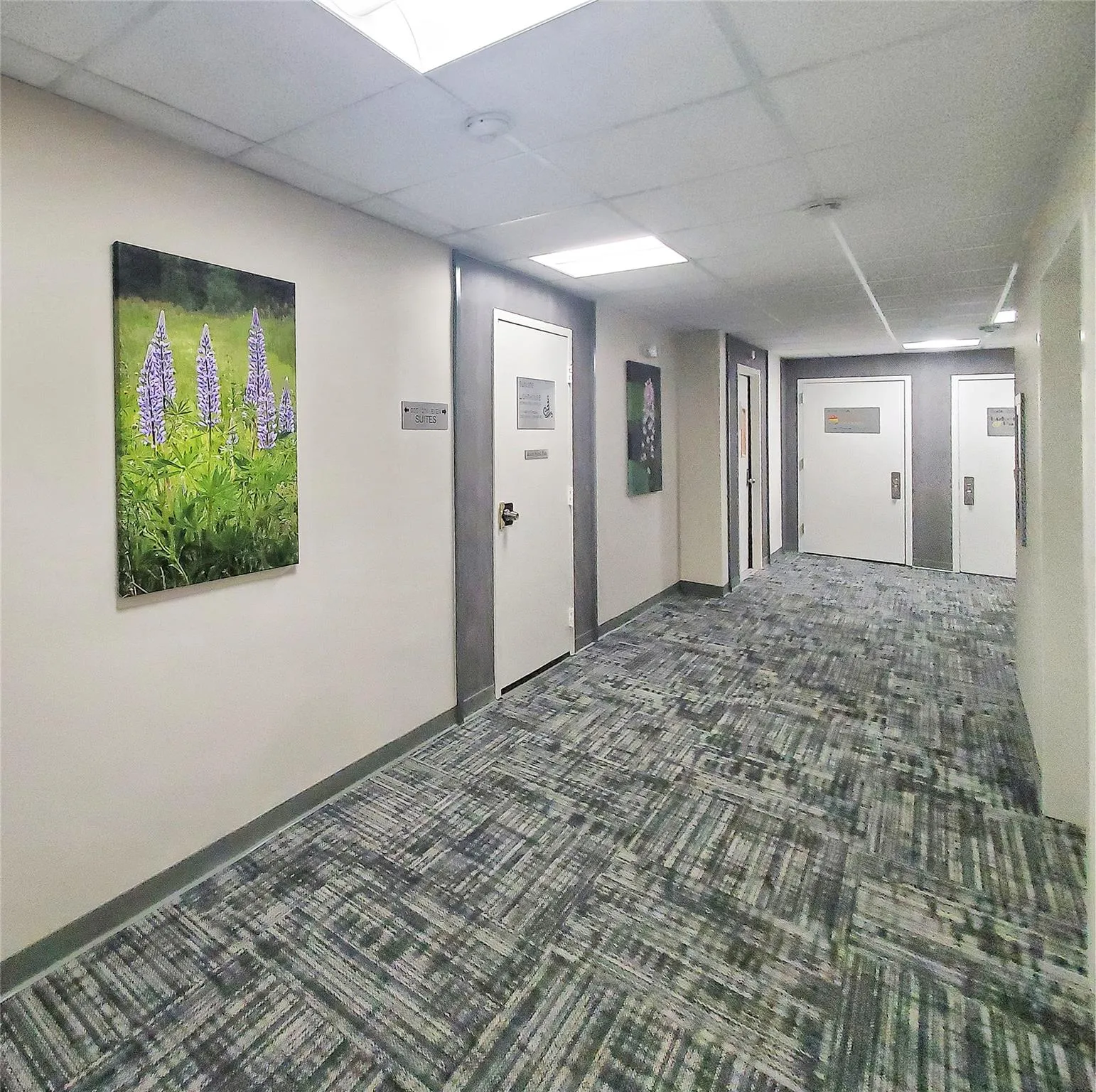 Hallway featuring carpet flooring and a drop ceiling Hallway featuring carpet flooring and a drop ceiling