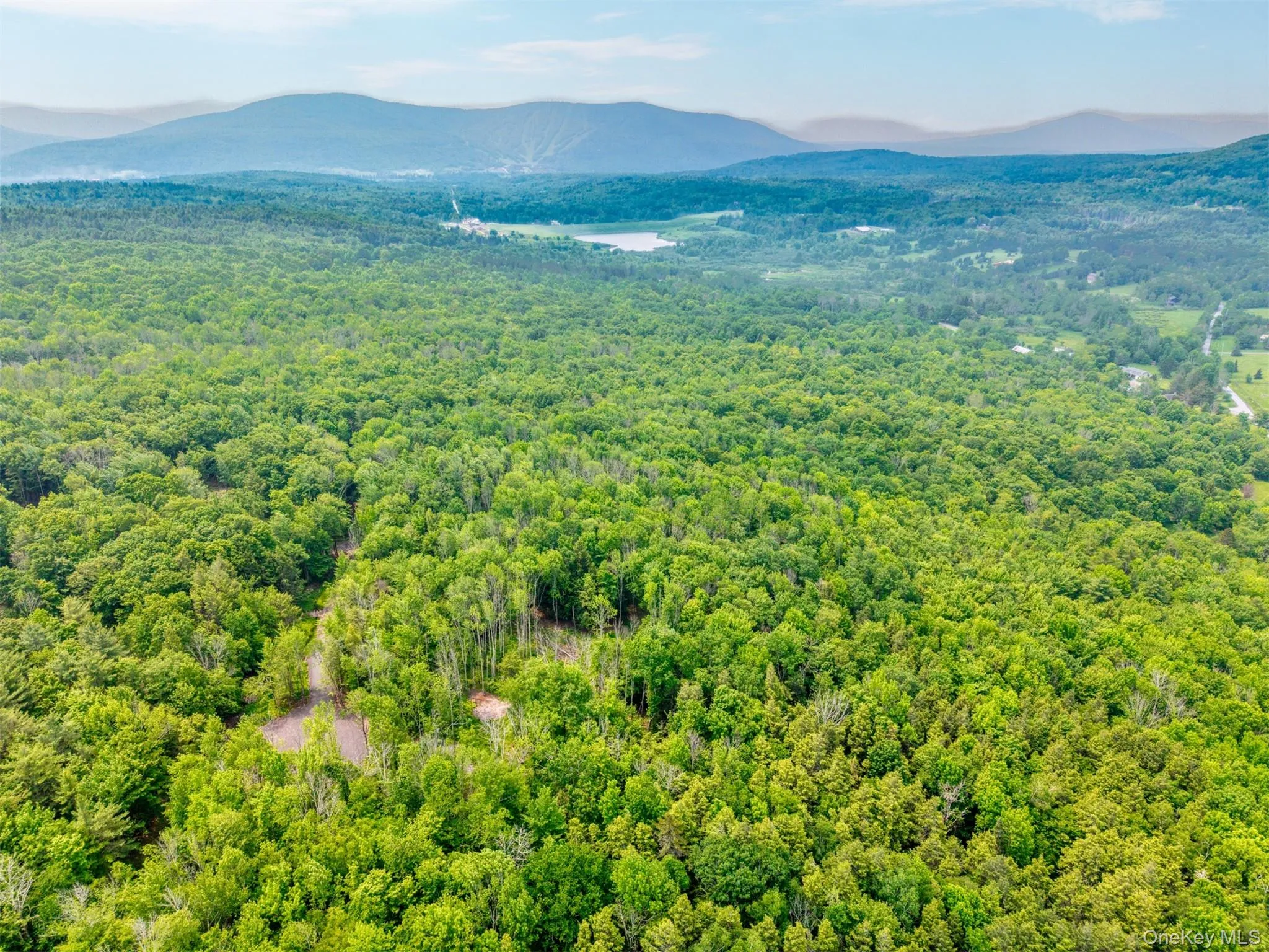 Drone / aerial view of a heavily wooded area and a mountain backdrop Drone / aerial view of a heavily wooded area and a mountain backdrop
