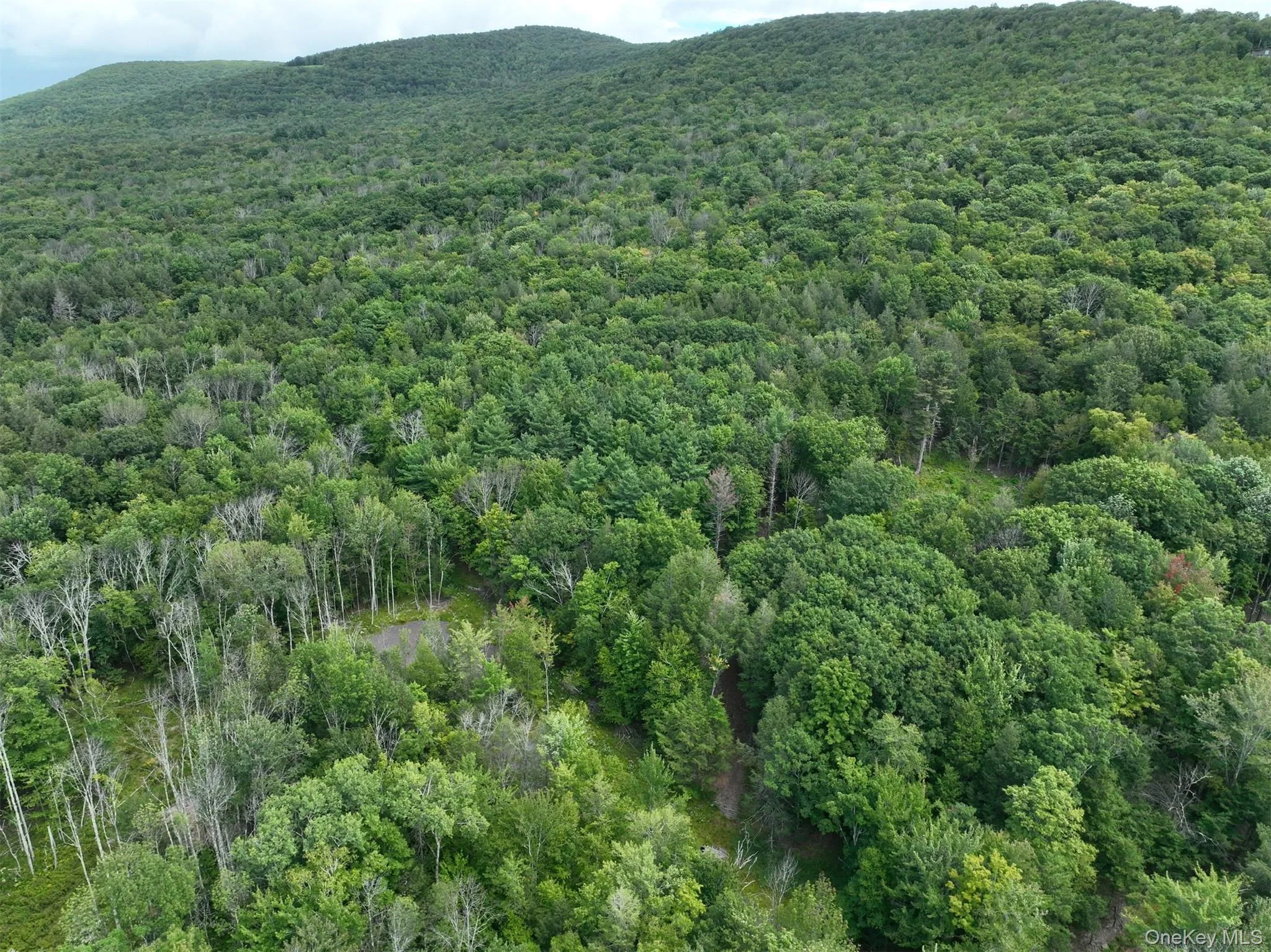 TBD Boulder Brook lot B14 Road, Windham, NY, ,Land,For Rent,Boulder Brook lot B14,0,878309 TBD Boulder Brook lot B14 Road, Windham, NY, ,Land,For Rent,Boulder Brook lot B14,0,878309