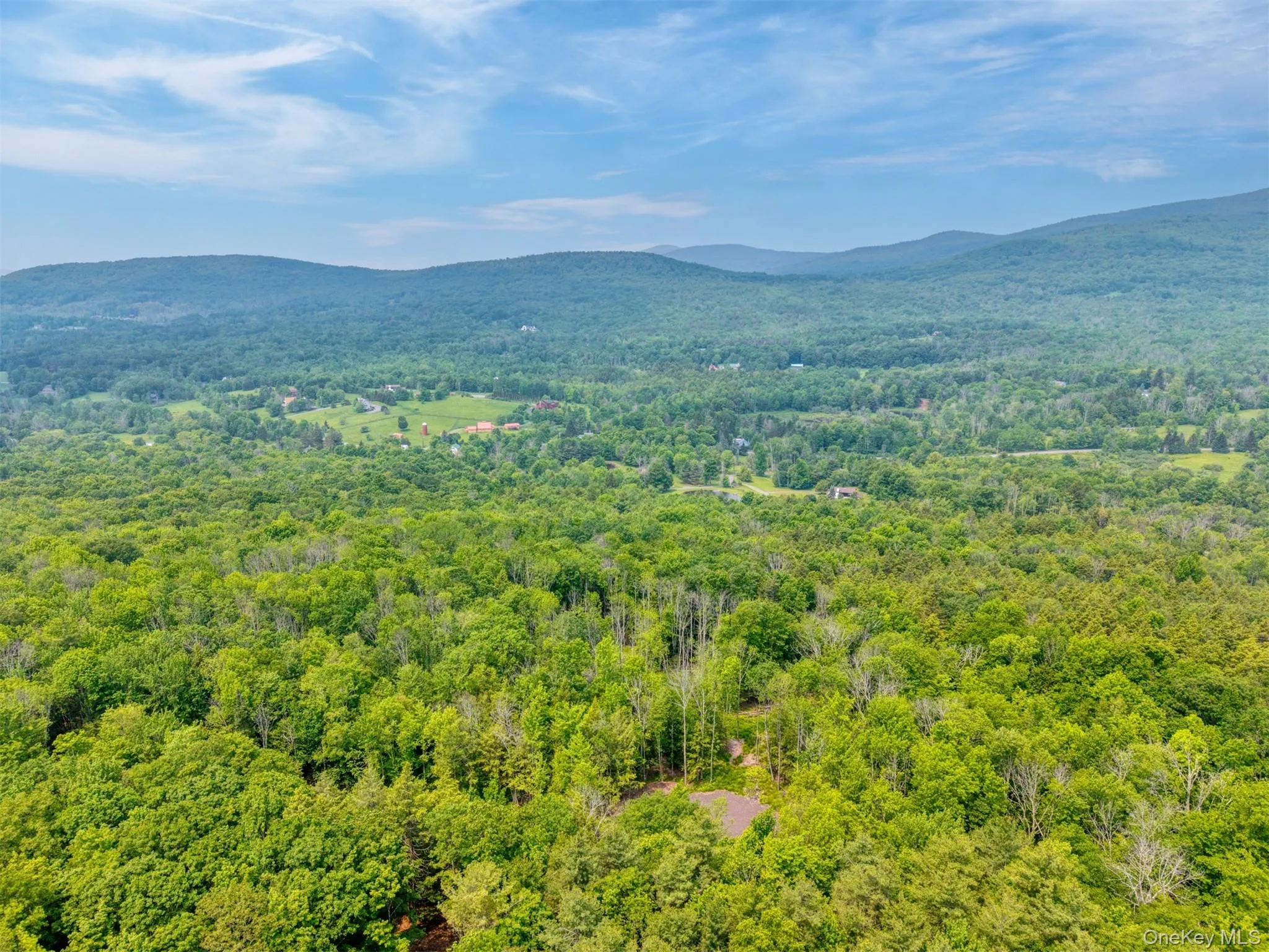 View of mountain background featuring a heavily wooded area View of mountain background featuring a heavily wooded area