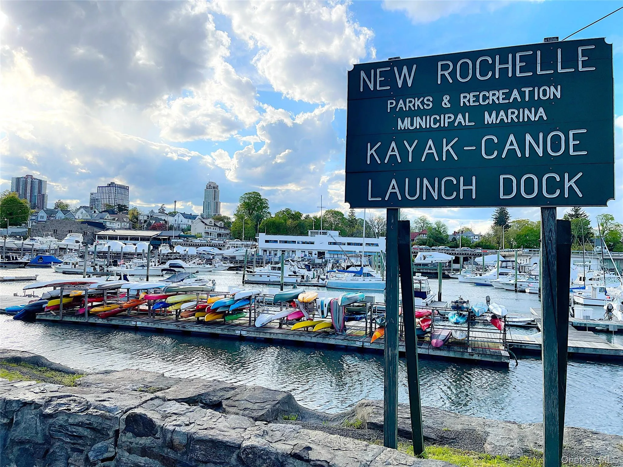 25 Acacia, New Rochelle, NY, 3 Bedrooms Bedrooms, 5 Rooms Rooms,2 BathroomsBathrooms,Residential Lease,Idx,Acacia,0,878585 25 Acacia, New Rochelle, NY, 3 Bedrooms Bedrooms, 5 Rooms Rooms,2 BathroomsBathrooms,Residential Lease,Idx,Acacia,0,878585