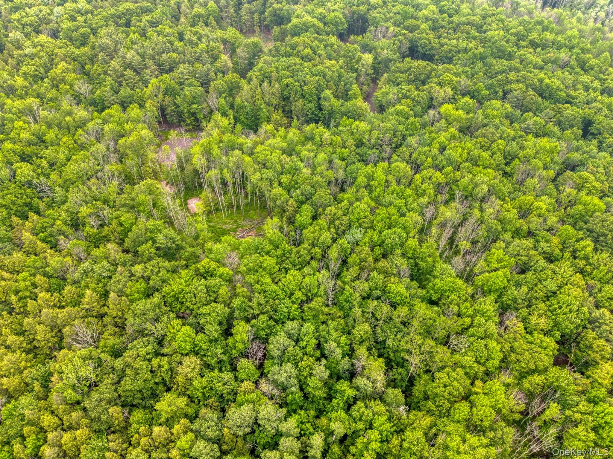 Aerial view of a heavily wooded area Aerial view of a heavily wooded area