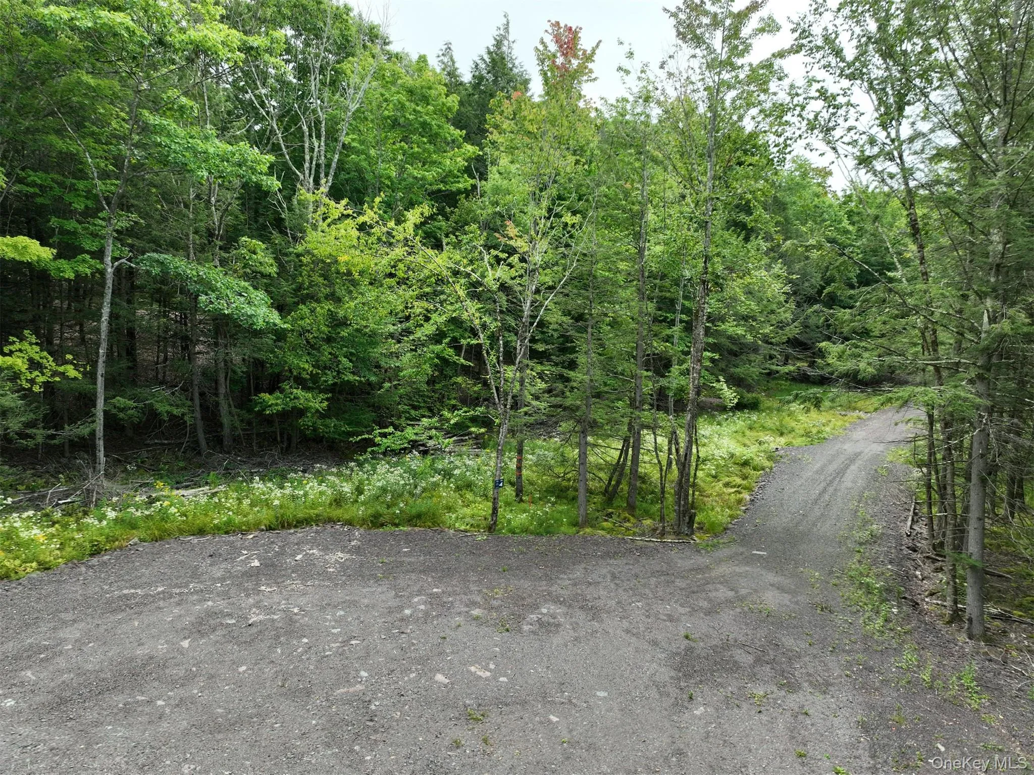 TBD Boulder Brook lot B12 Road, Windham, NY, ,Land,For Rent,Boulder Brook lot B12,0,878623 TBD Boulder Brook lot B12 Road, Windham, NY, ,Land,For Rent,Boulder Brook lot B12,0,878623