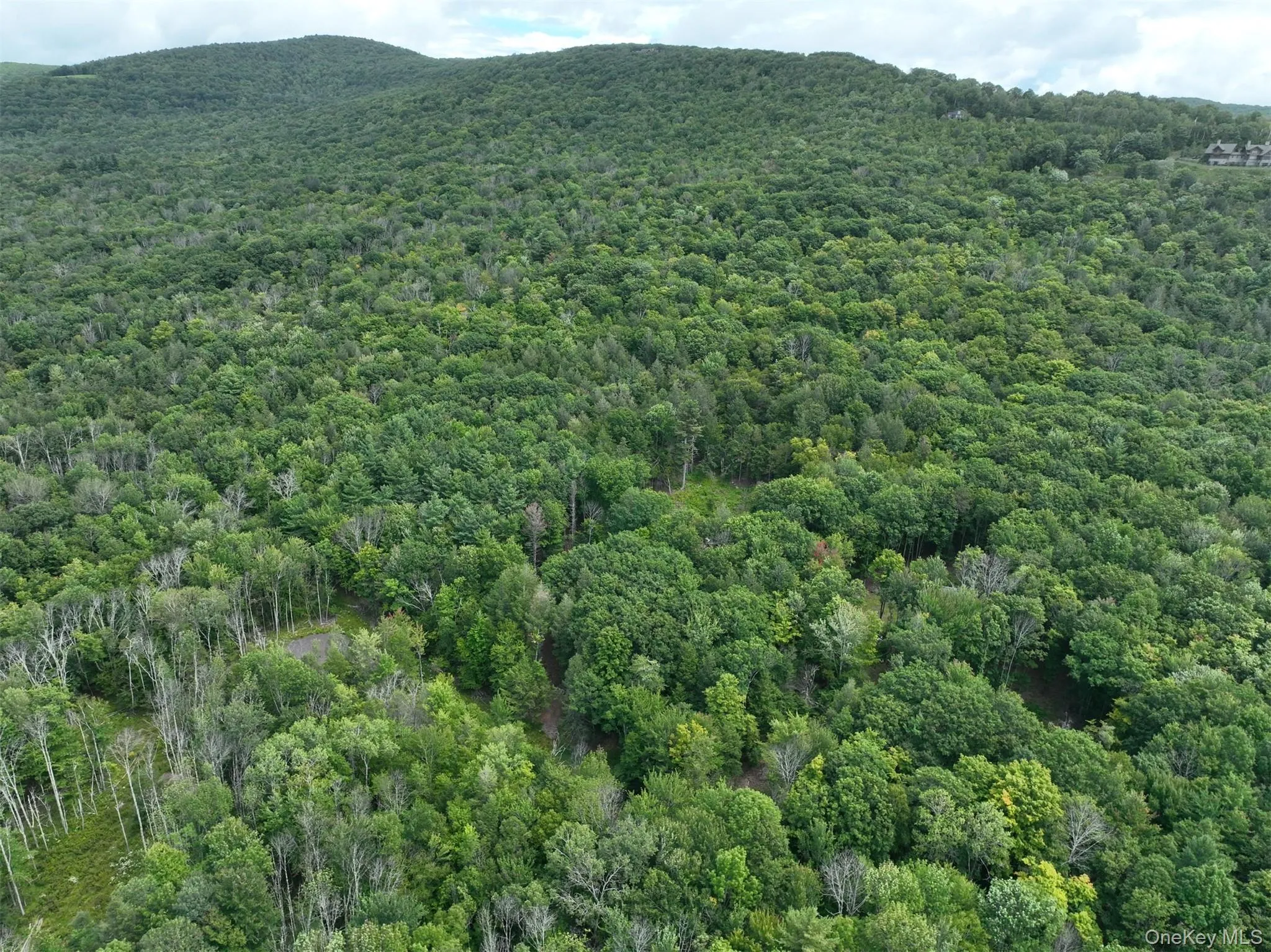 TBD Boulder Brook lot B12 Road, Windham, NY, ,Land,For Rent,Boulder Brook lot B12,0,878623 TBD Boulder Brook lot B12 Road, Windham, NY, ,Land,For Rent,Boulder Brook lot B12,0,878623