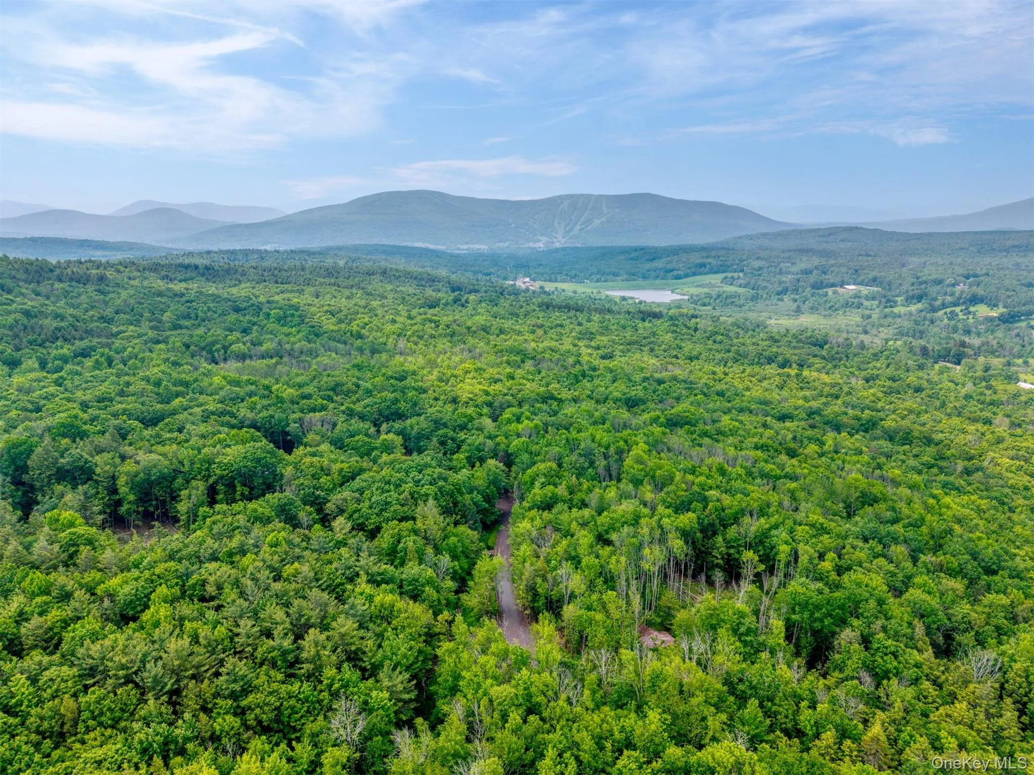 View of mountain backdrop with a heavily wooded area View of mountain backdrop with a heavily wooded area