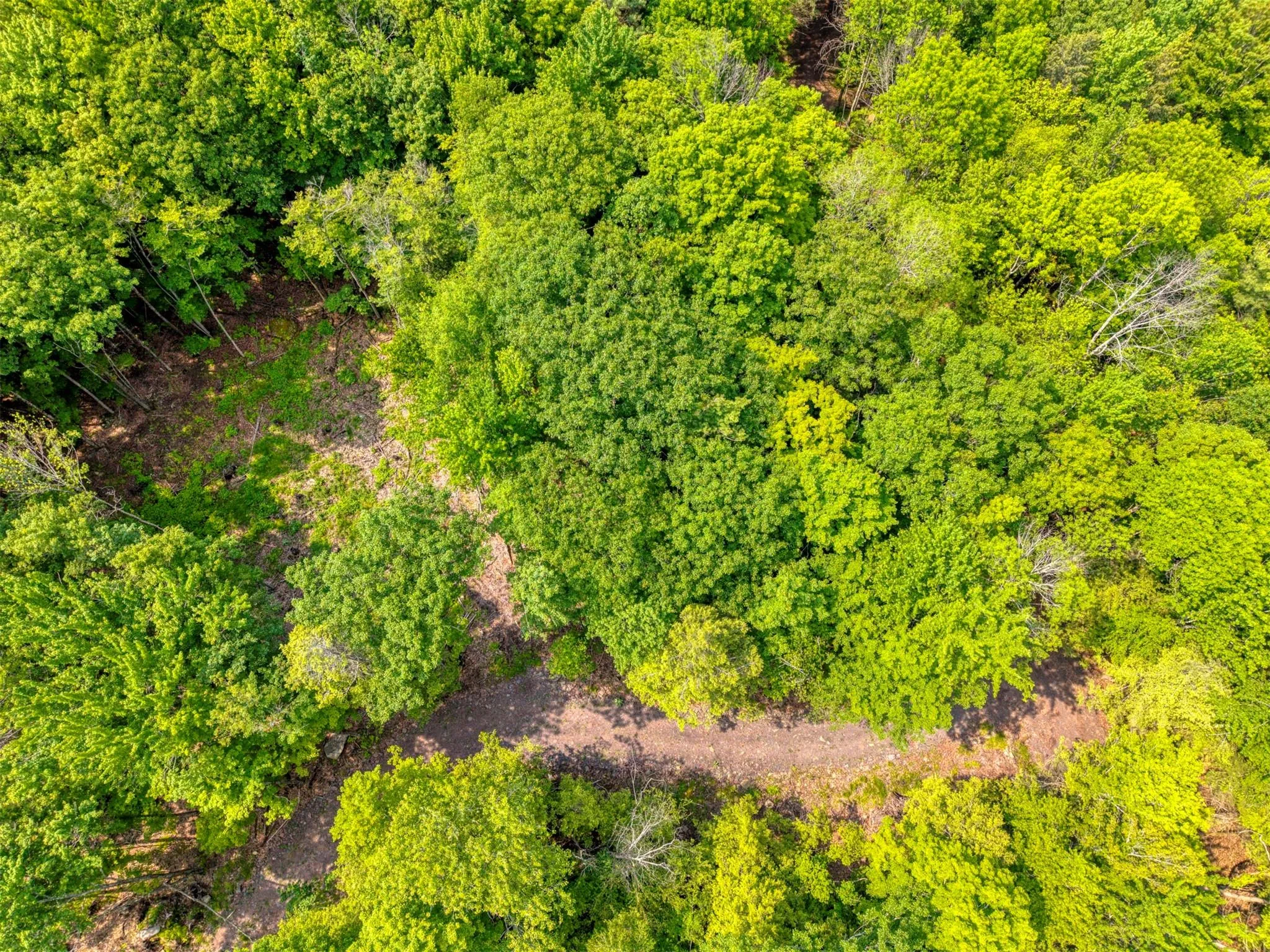 Bird's eye view Bird's eye view
