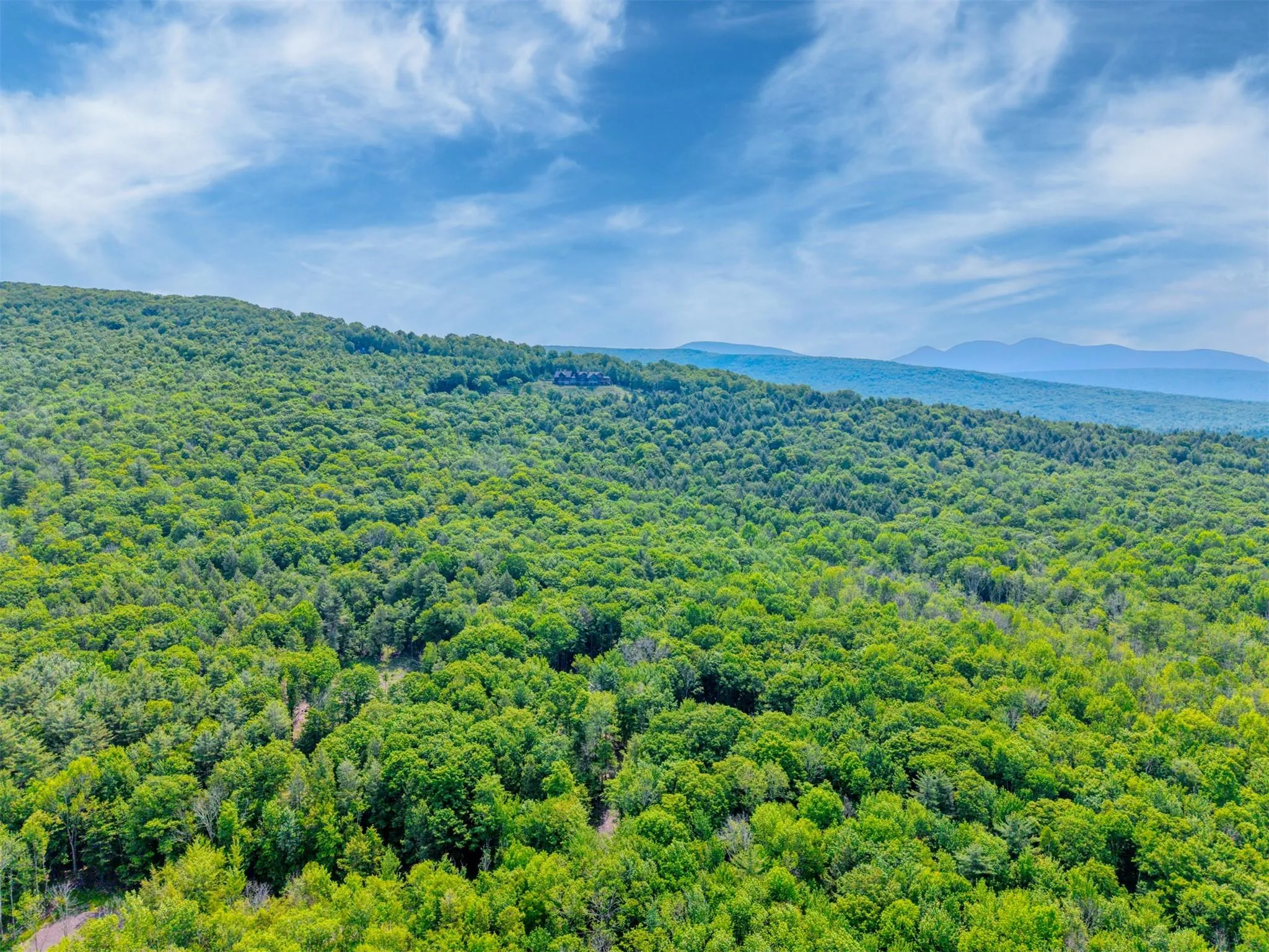 Aerial view of a forest and a mountainous background Aerial view of a forest and a mountainous background