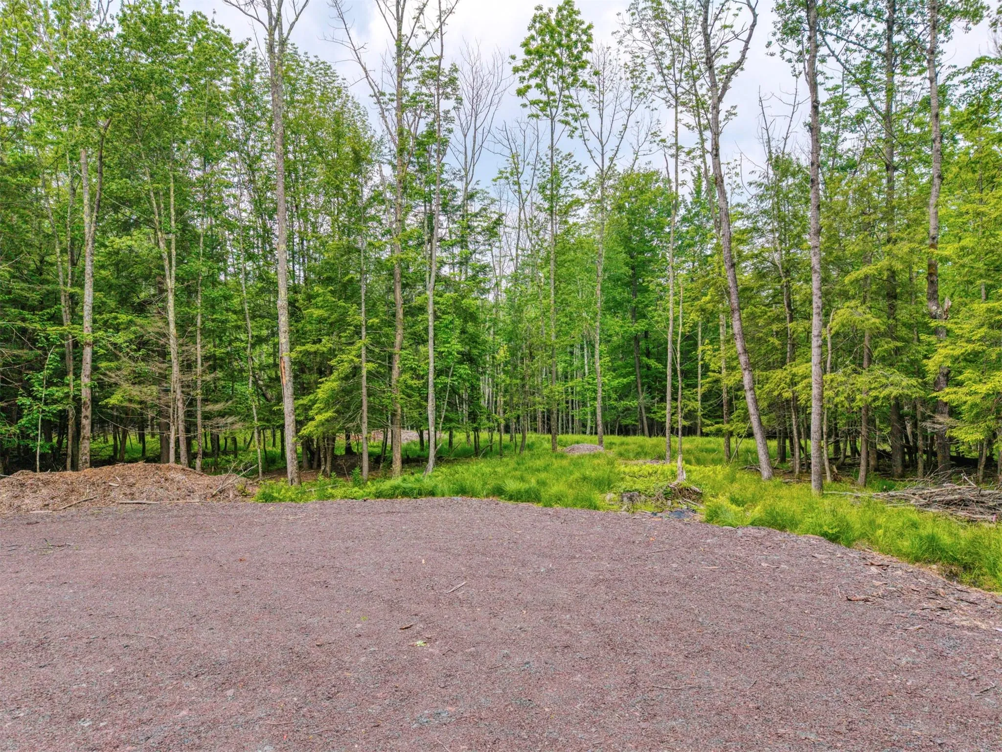 View of wooded area View of wooded area