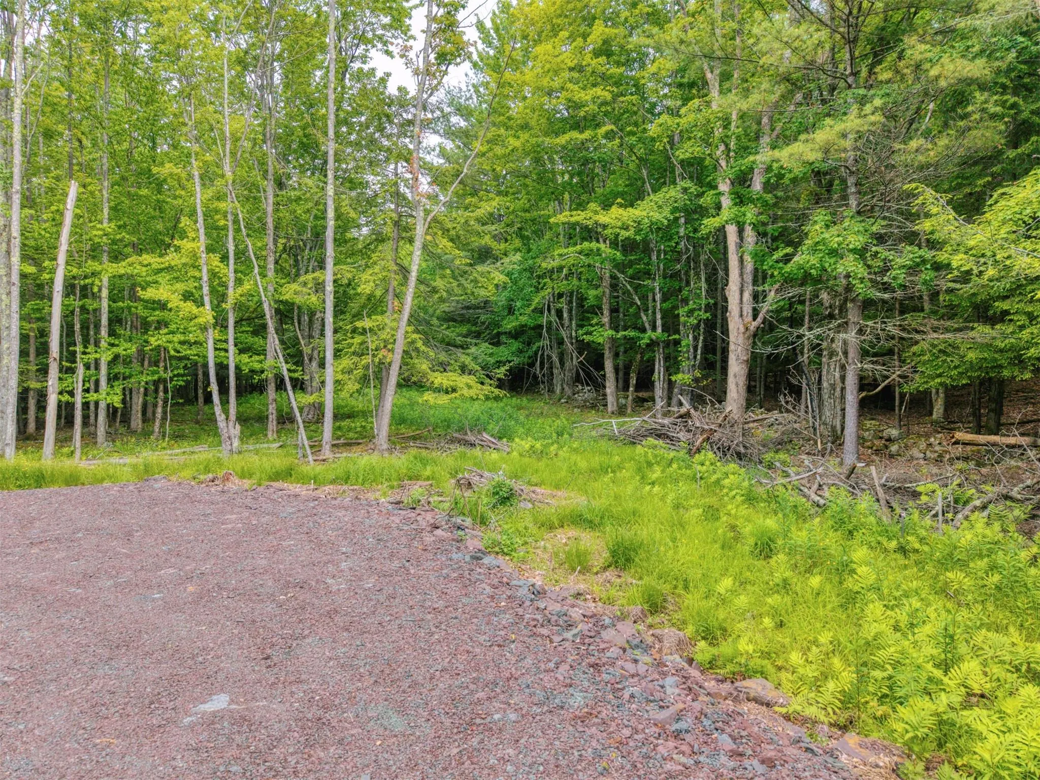 TBD Boulder Brook lot 13B Road, Windham, NY, ,Land,For Rent,Boulder Brook lot 13B,0,878778 TBD Boulder Brook lot 13B Road, Windham, NY, ,Land,For Rent,Boulder Brook lot 13B,0,878778