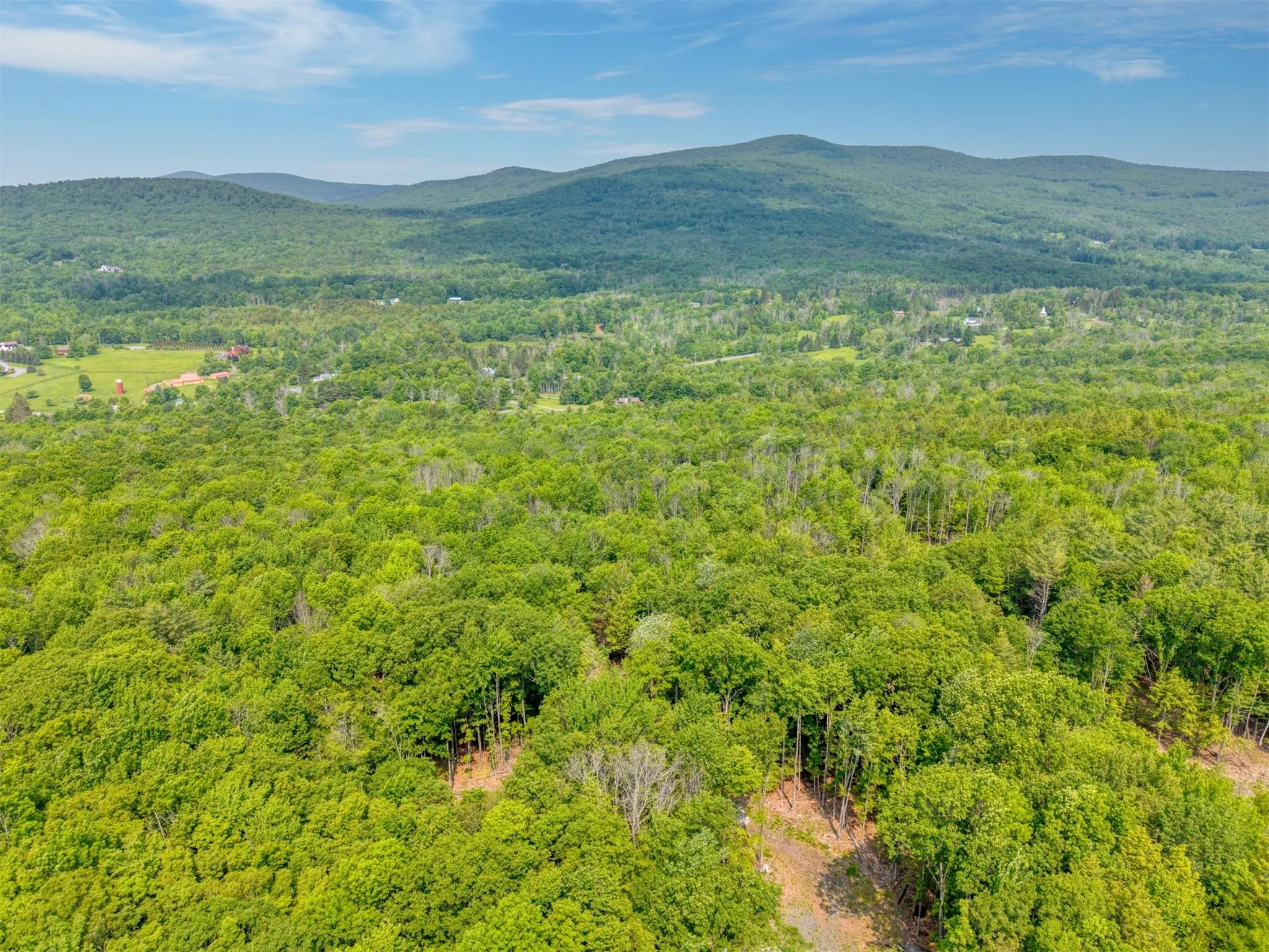 View of mountain background featuring a forest View of mountain background featuring a forest