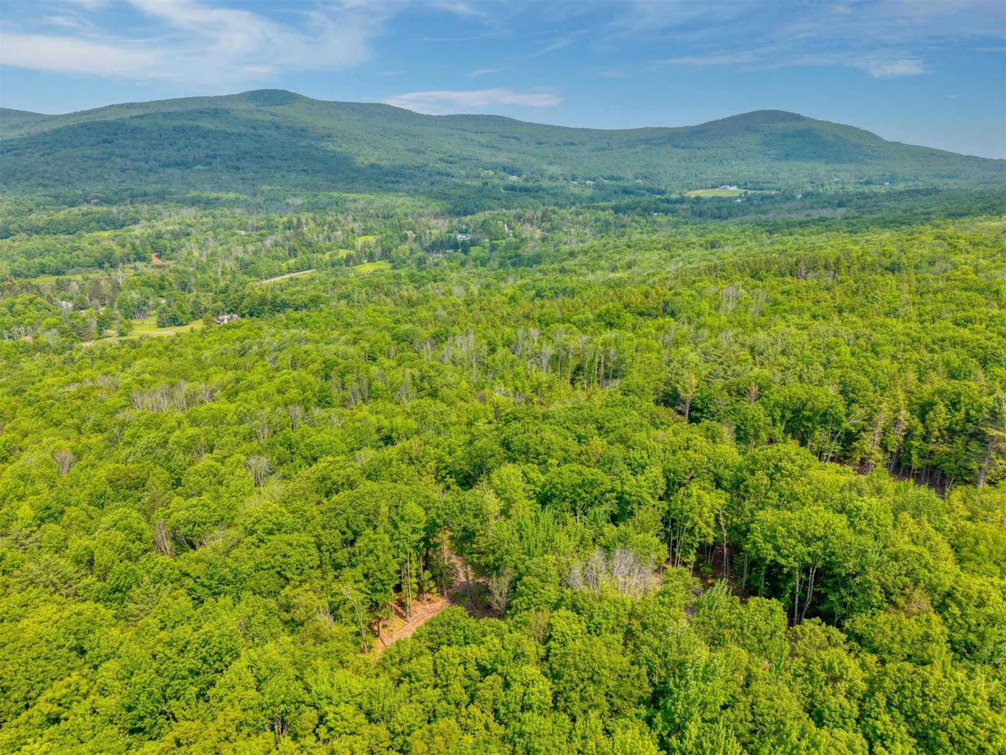 Mountain view featuring a forest Mountain view featuring a forest