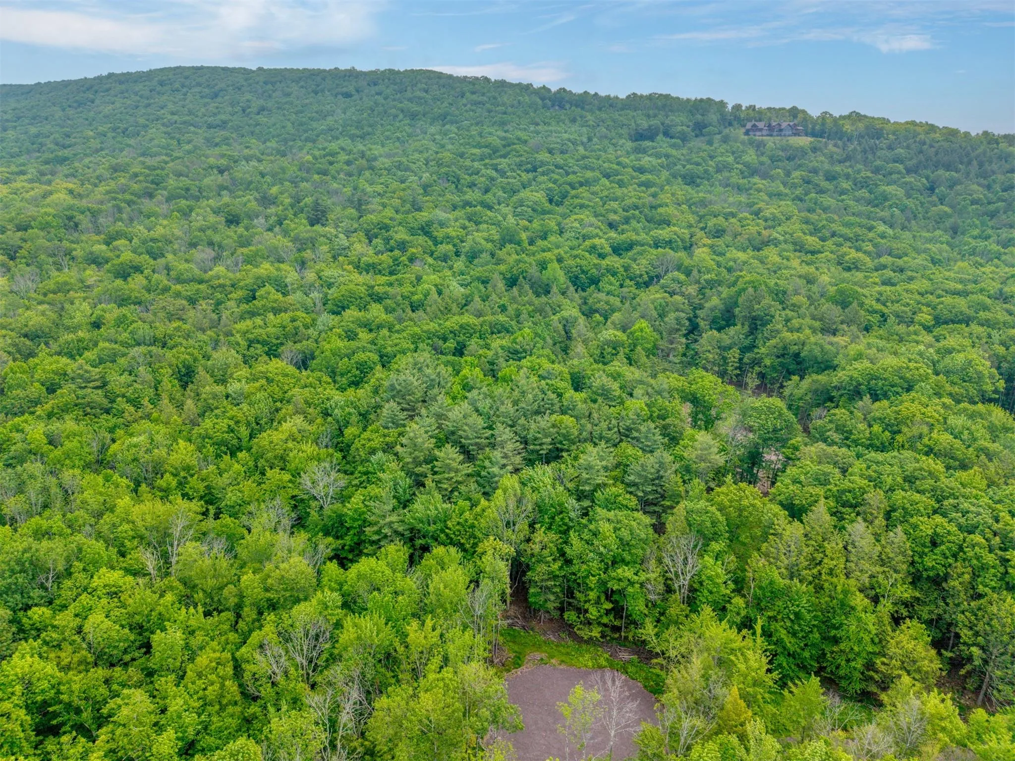Bird's eye view of a heavily wooded area Bird's eye view of a heavily wooded area