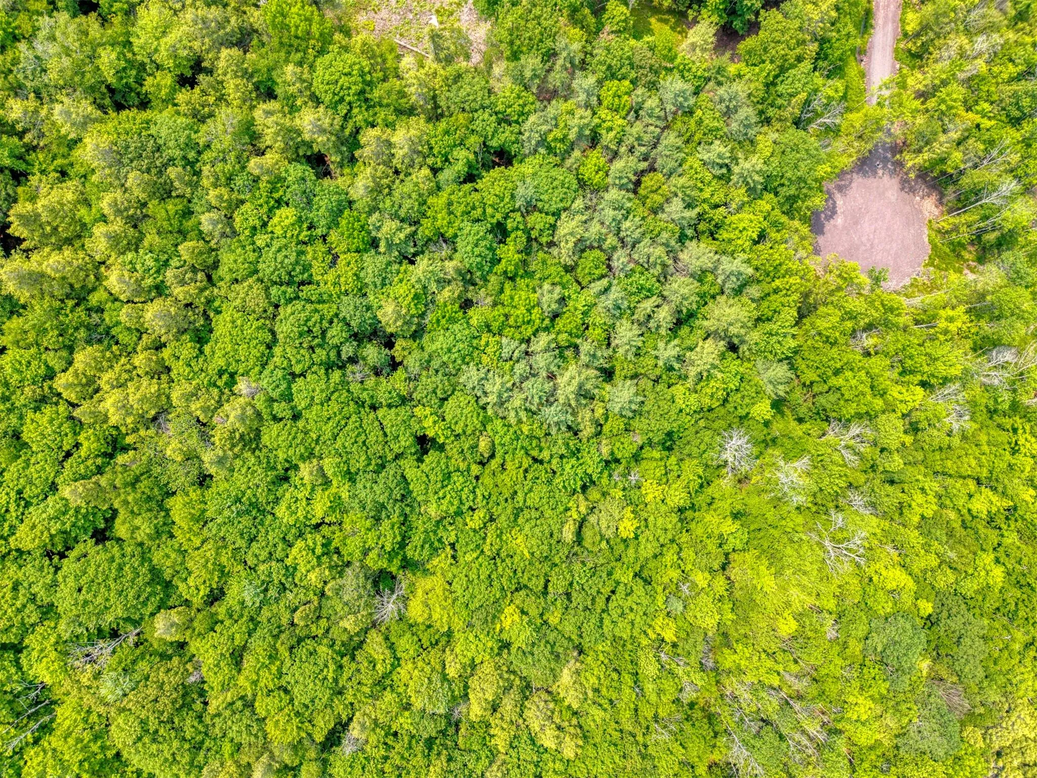 Aerial view Aerial view