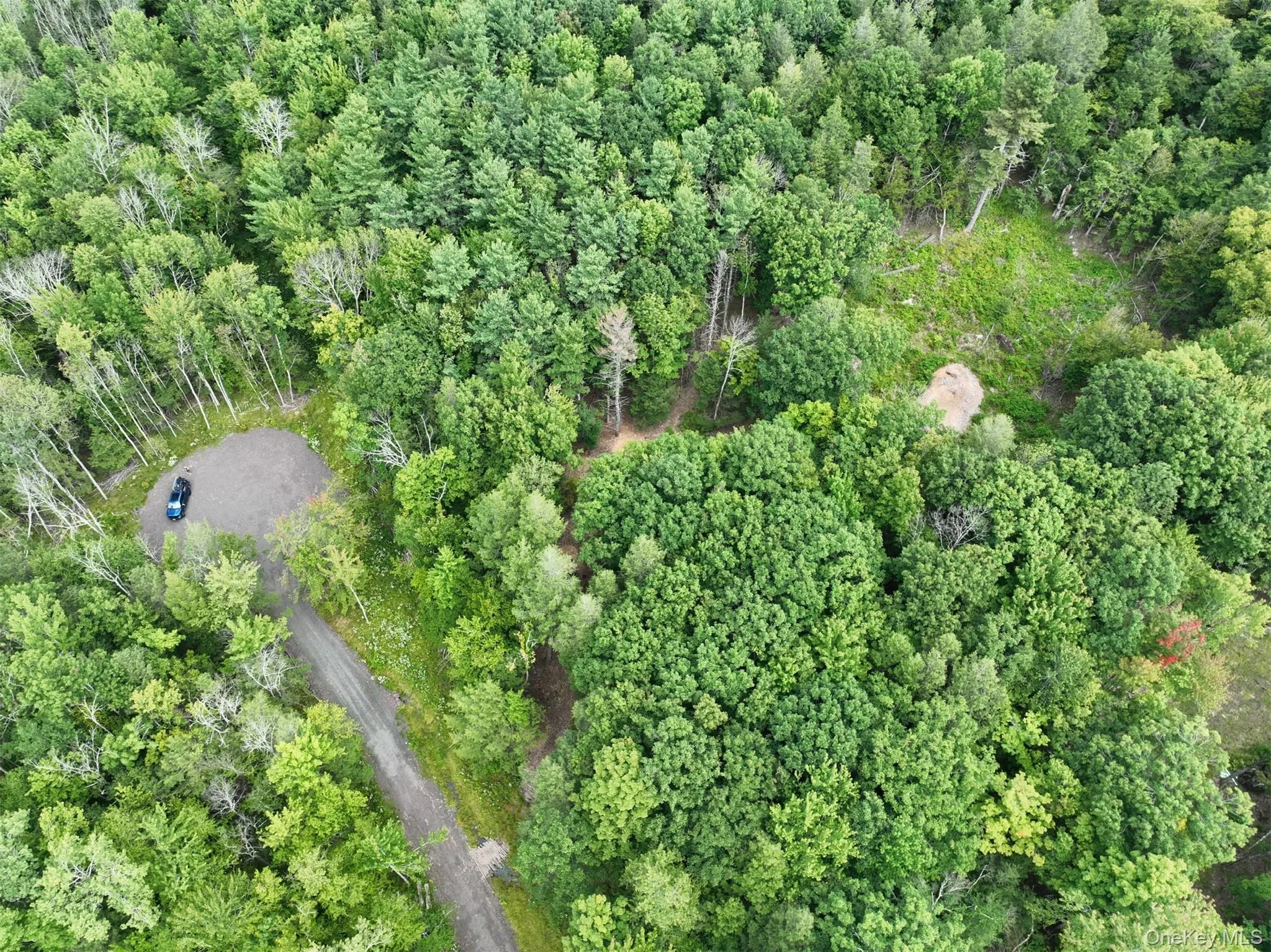 TBD Boulder Brook Lot 11 Road, Windham, NY, ,Land,For Rent,Boulder Brook Lot 11,0,878803 TBD Boulder Brook Lot 11 Road, Windham, NY, ,Land,For Rent,Boulder Brook Lot 11,0,878803