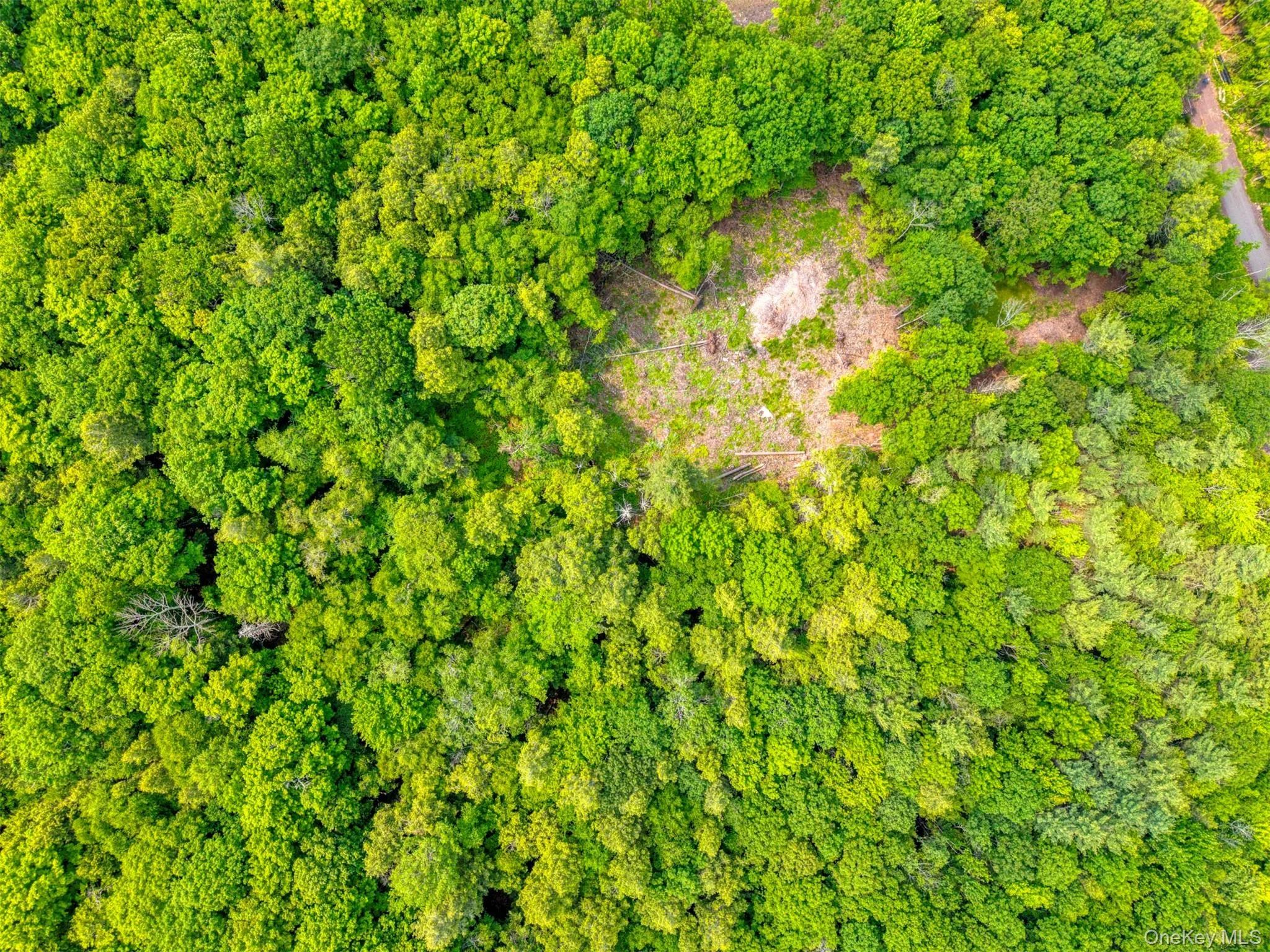 Drone / aerial view Drone / aerial view