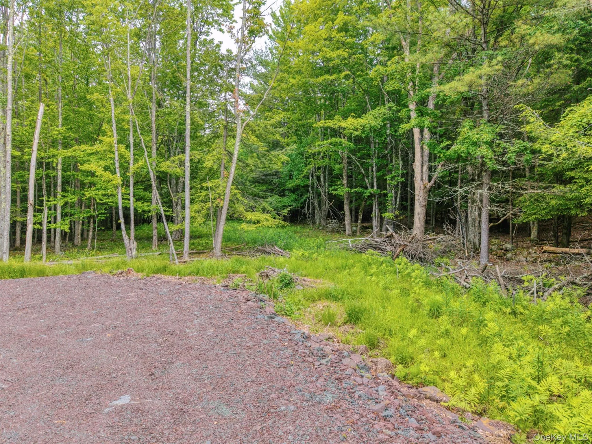 TBD Boulder Brook lots 33-38 Road, Windham, NY, ,Land,For Rent,Boulder Brook lots 33-38,0,878815 TBD Boulder Brook lots 33-38 Road, Windham, NY, ,Land,For Rent,Boulder Brook lots 33-38,0,878815