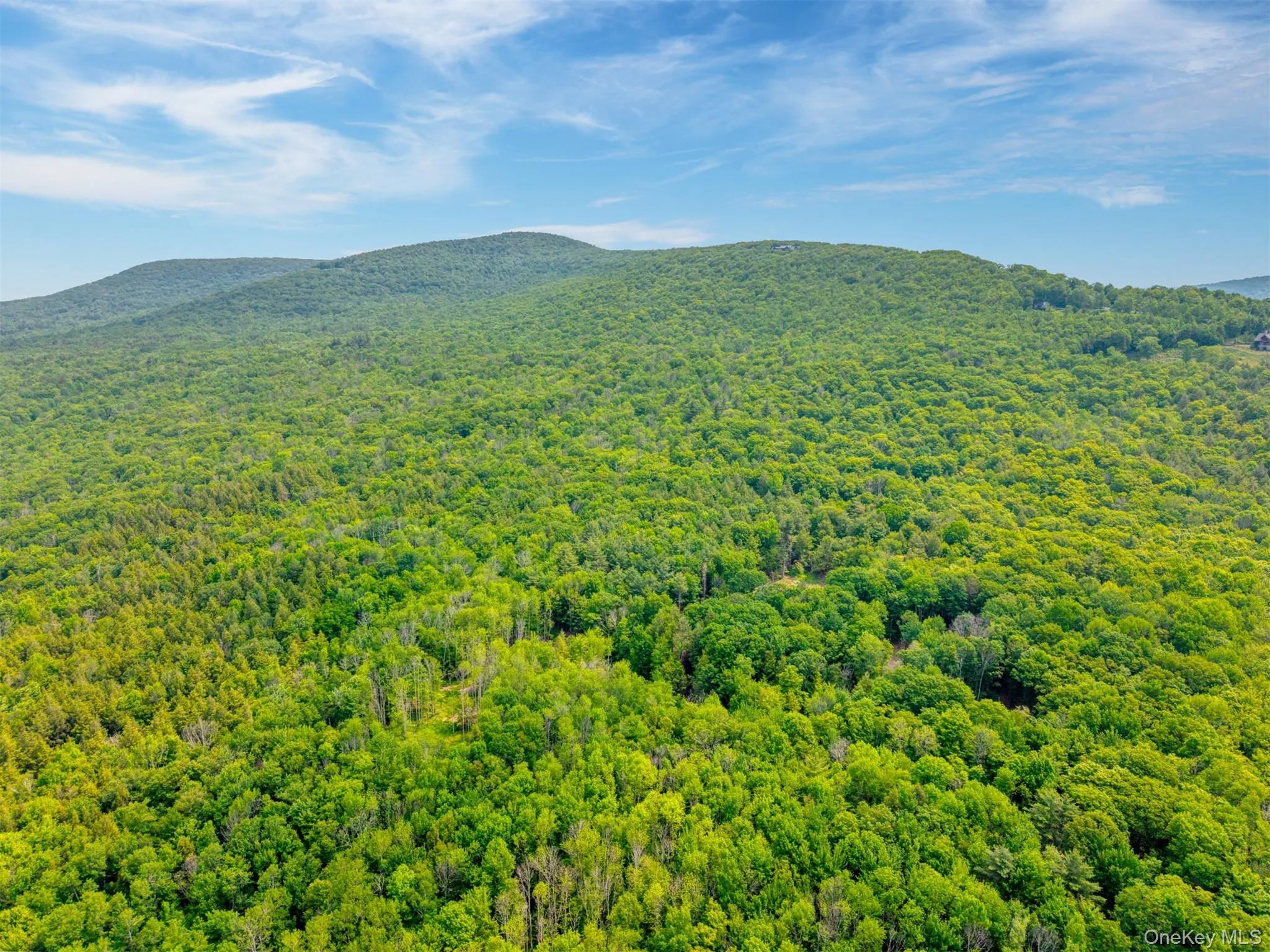 View of mountain background with a forest View of mountain background with a forest