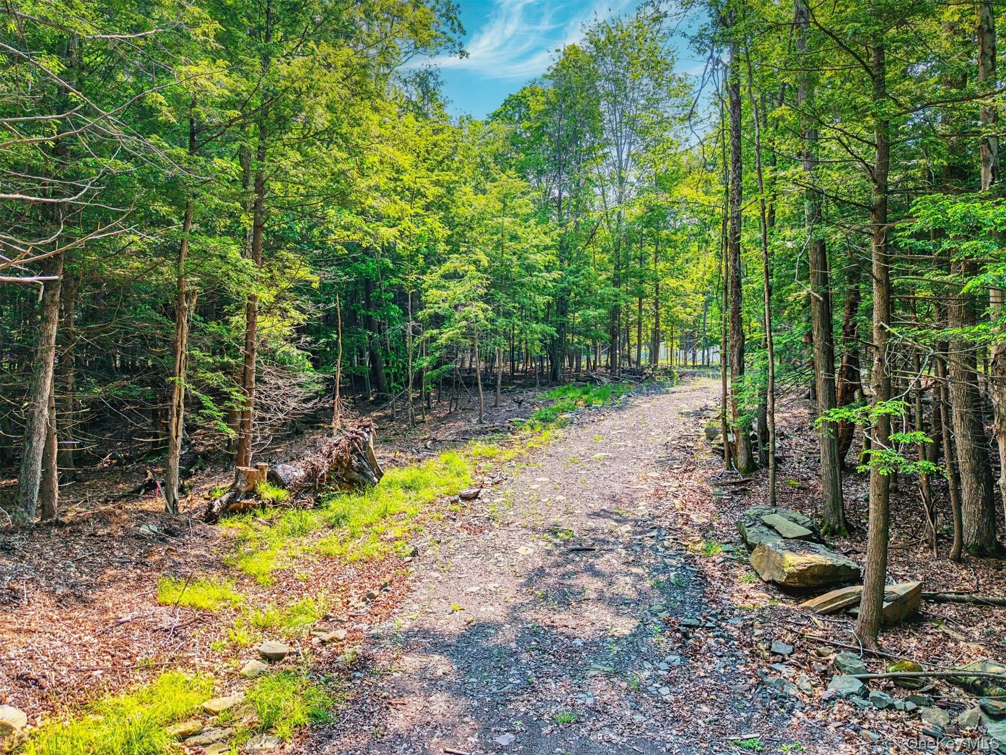 View of road featuring a view of trees View of road featuring a view of trees
