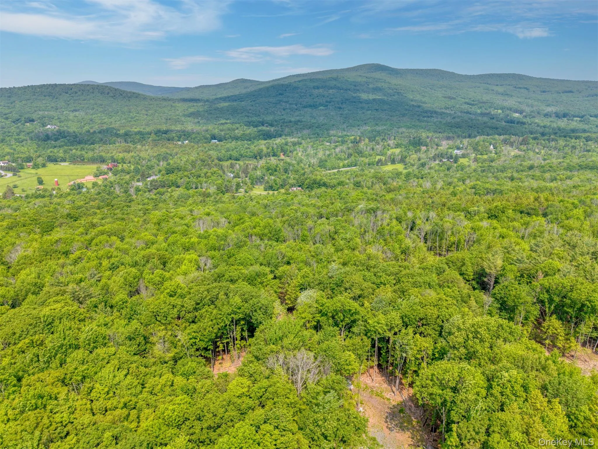 View of mountain background featuring a heavily wooded area View of mountain background featuring a heavily wooded area