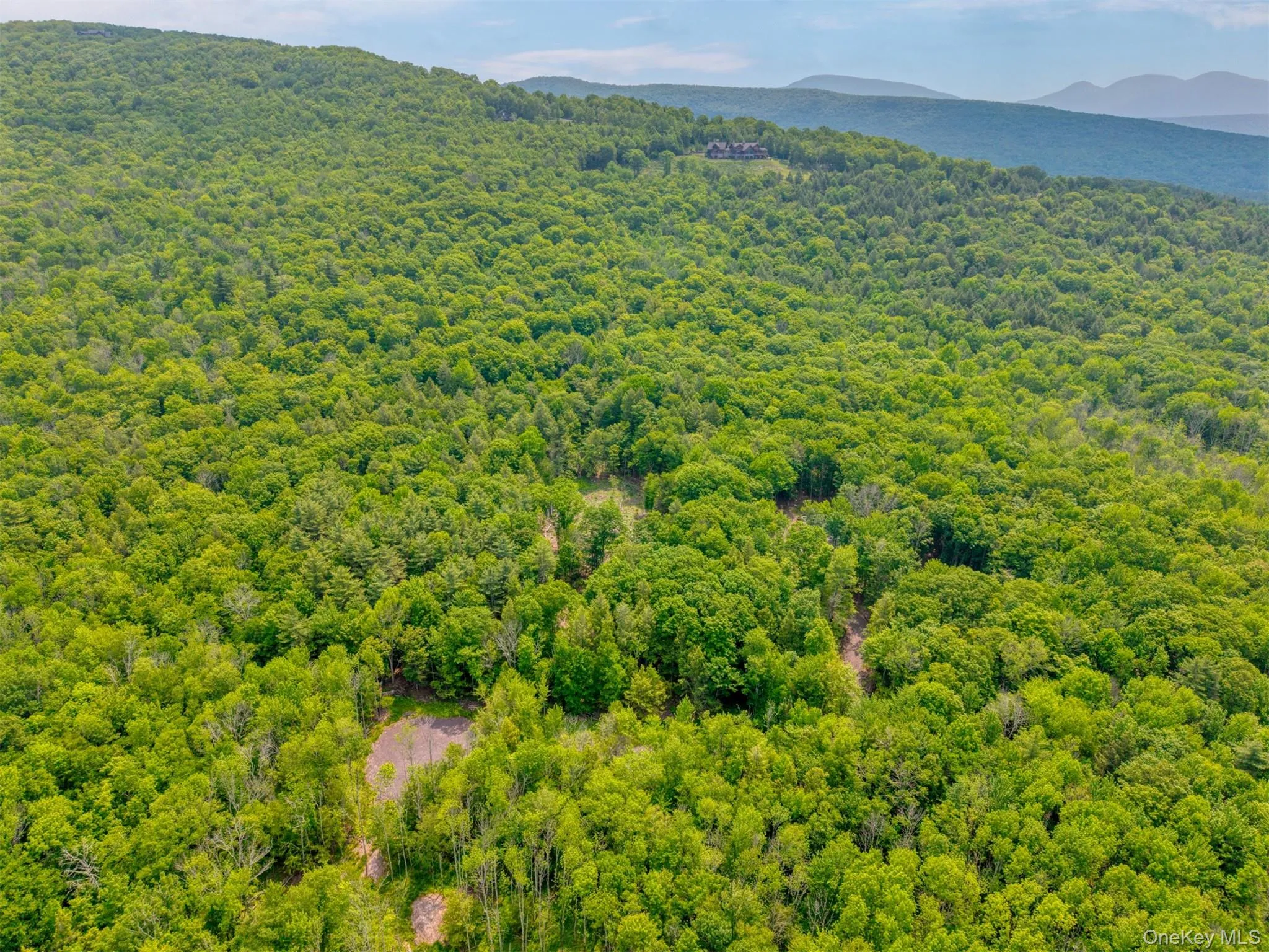 Aerial view of a heavily wooded area and a mountain backdrop Aerial view of a heavily wooded area and a mountain backdrop