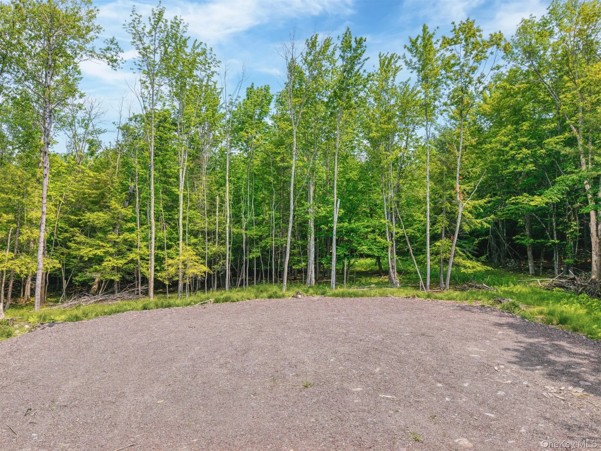 TBD Boulder Brook lots 33-38 Road, Windham, NY, ,Land,For Rent,Boulder Brook lots 33-38,0,878815 TBD Boulder Brook lots 33-38 Road, Windham, NY, ,Land,For Rent,Boulder Brook lots 33-38,0,878815