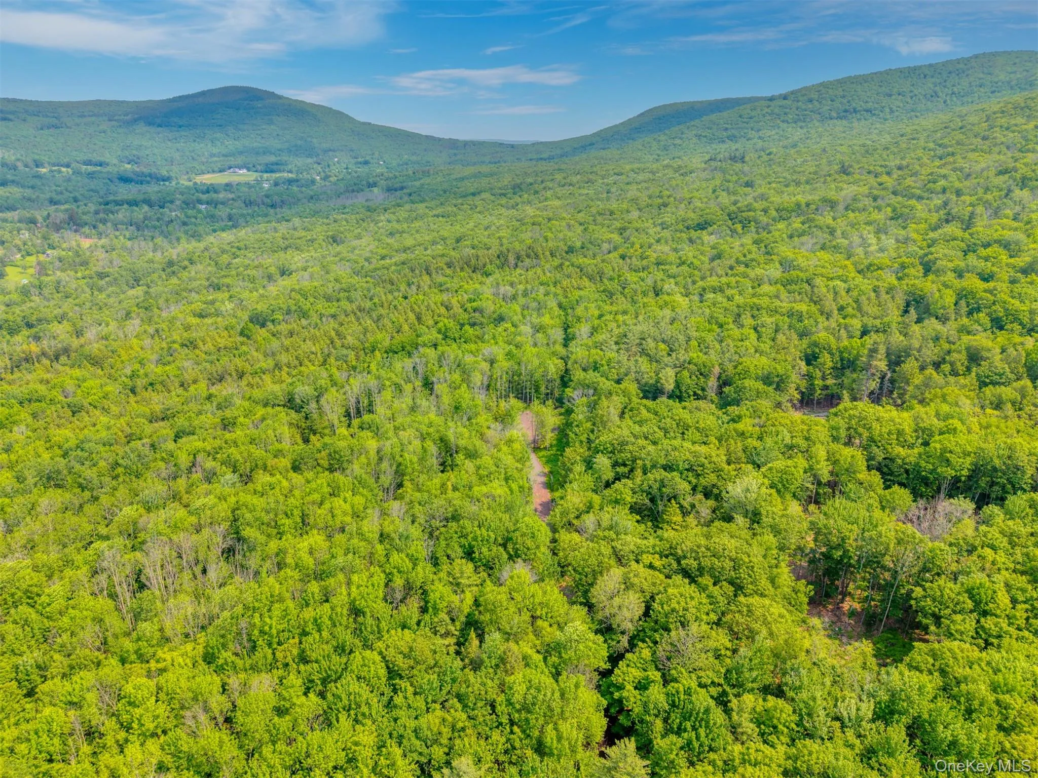 View of mountain background with a heavily wooded area View of mountain background with a heavily wooded area