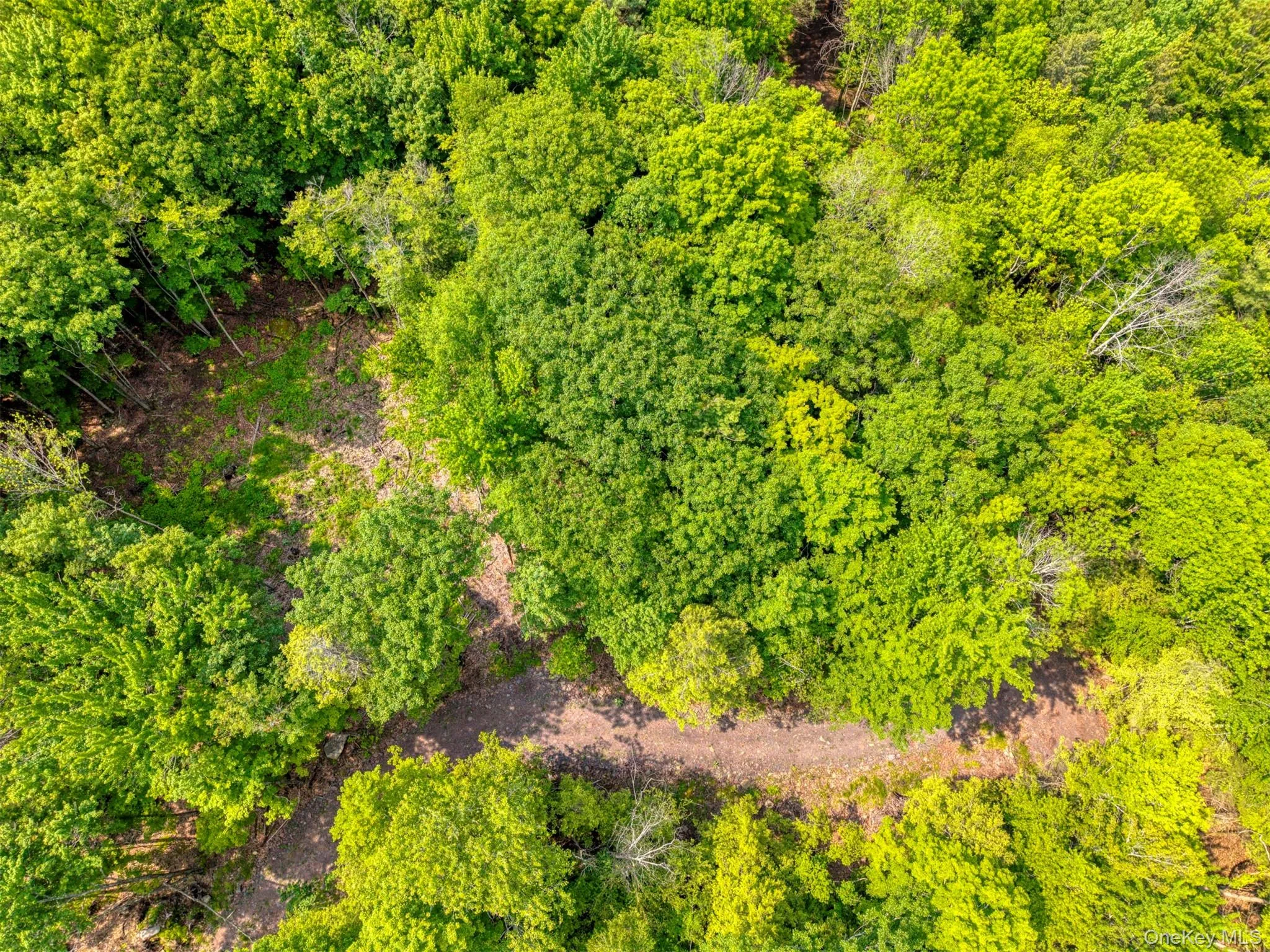 Bird's eye view Bird's eye view