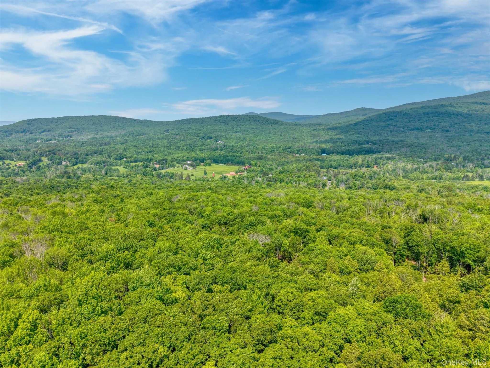 Mountain view with a heavily wooded area Mountain view with a heavily wooded area