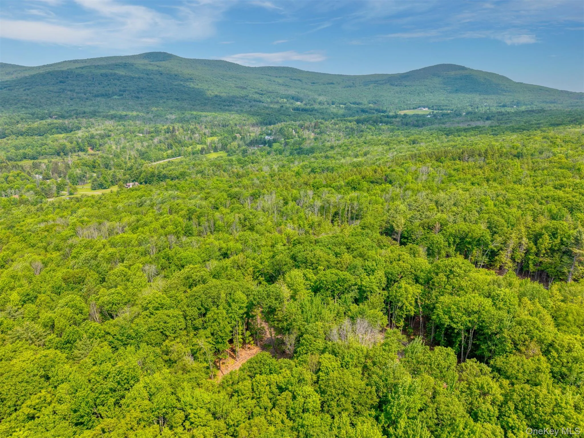 Mountain view featuring a forest Mountain view featuring a forest