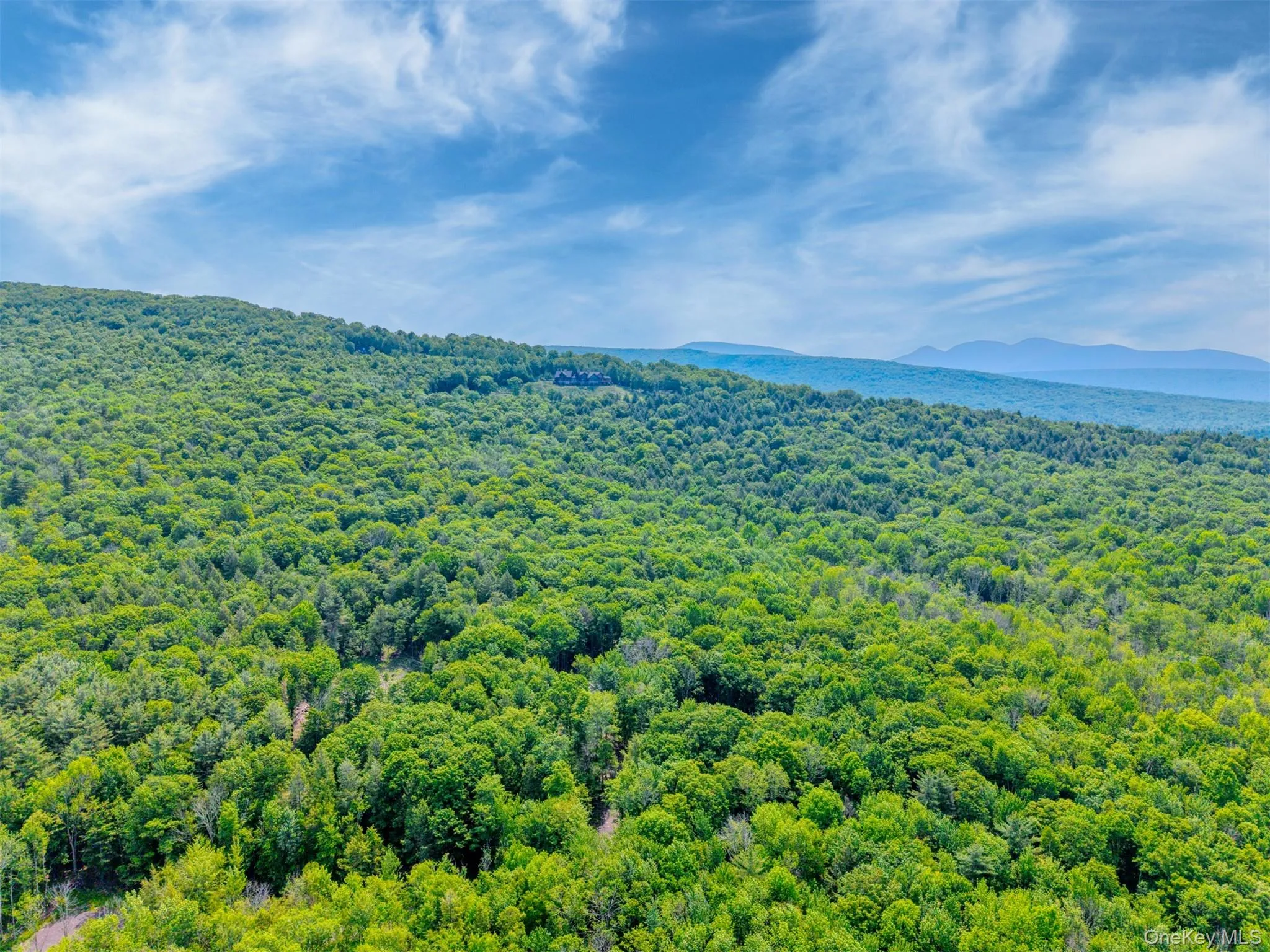 Aerial view of a forest and mountains Aerial view of a forest and mountains