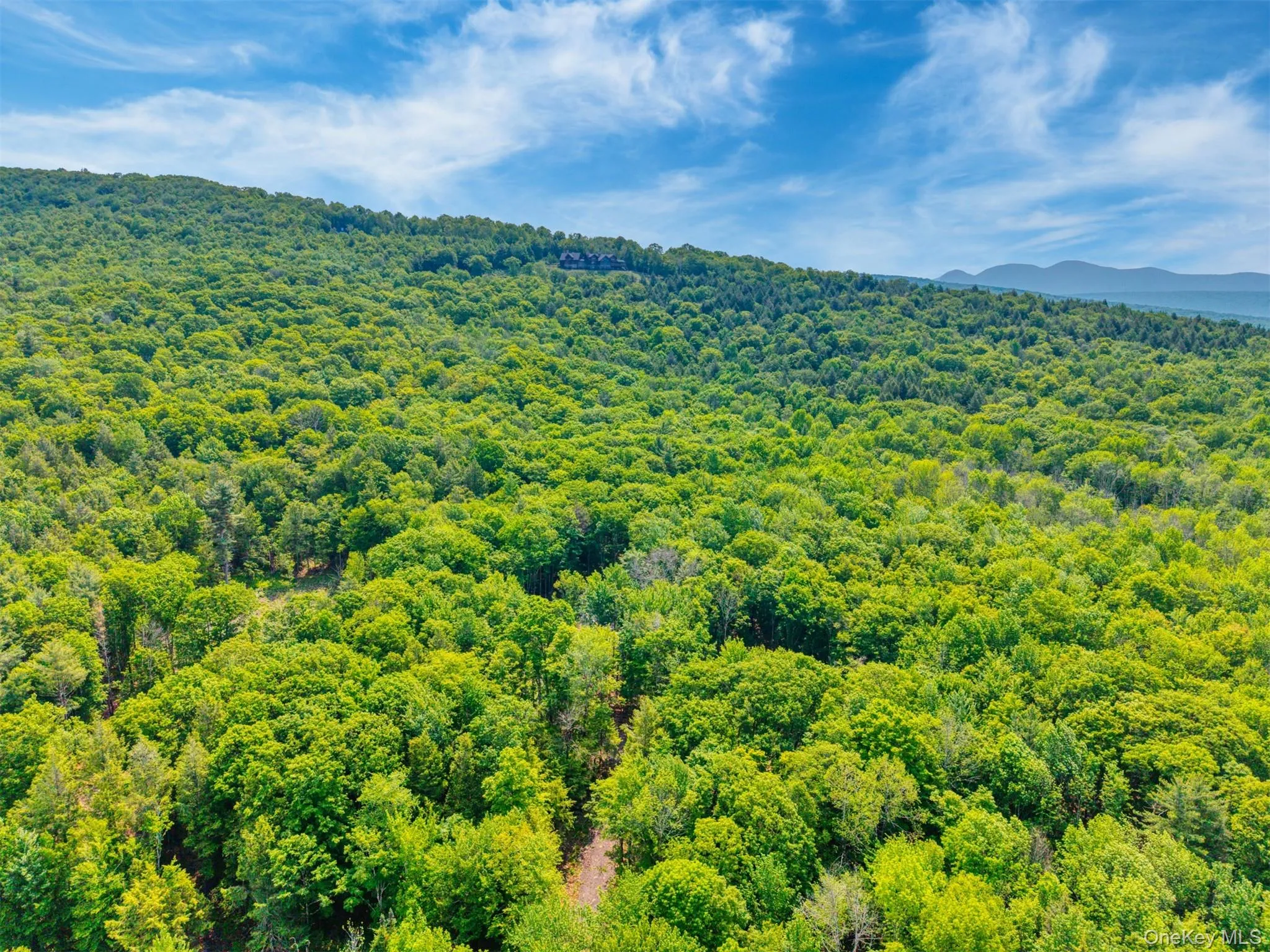 Aerial view of a heavily wooded area and mountains Aerial view of a heavily wooded area and mountains