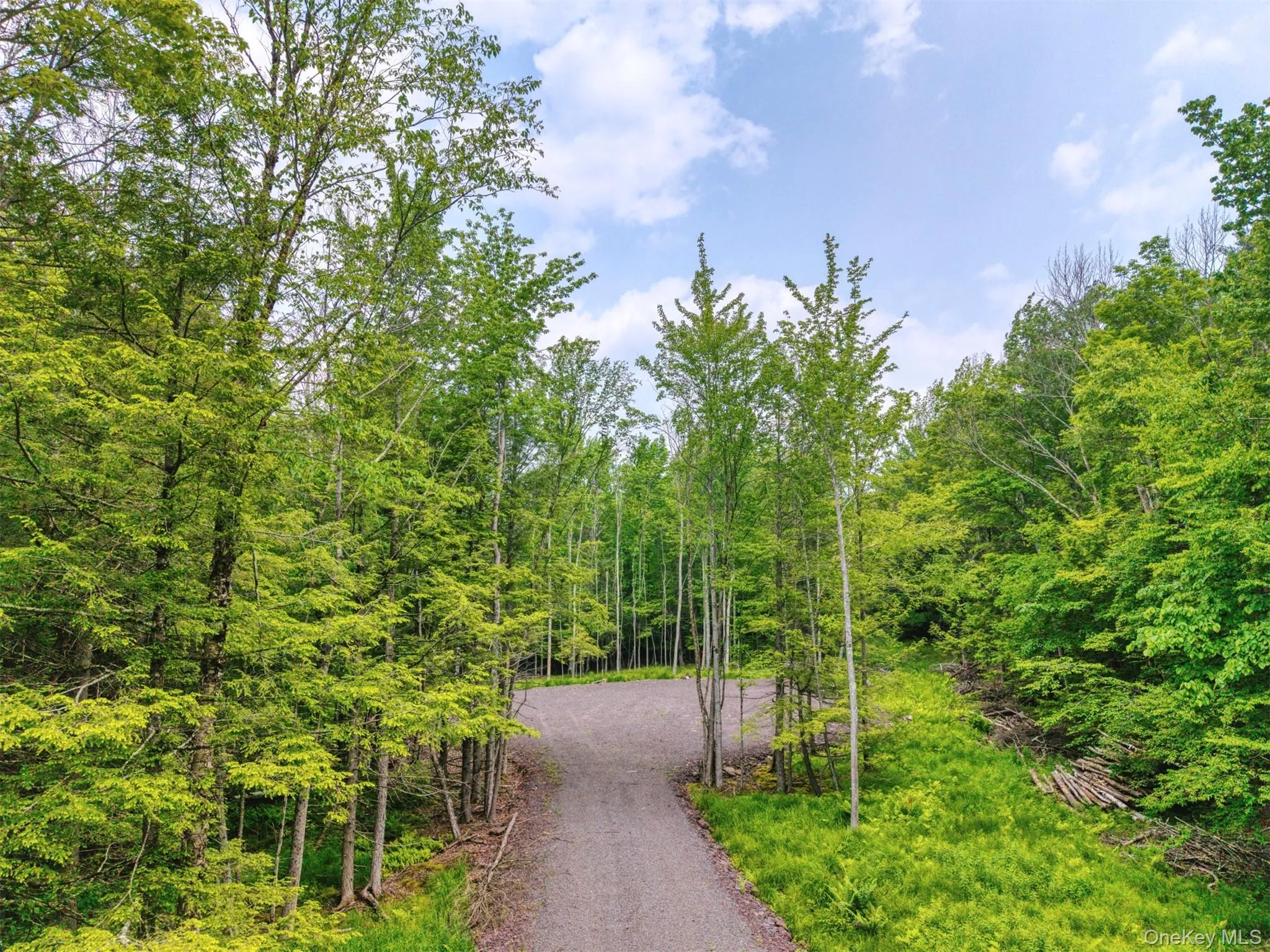 View of property's community with driveway and a wooded view View of property's community with driveway and a wooded view