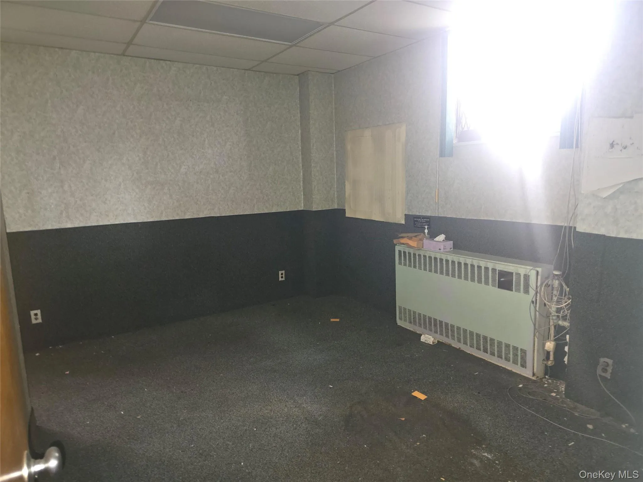 Carpeted spare room with radiator and a drop ceiling Carpeted spare room with radiator and a drop ceiling