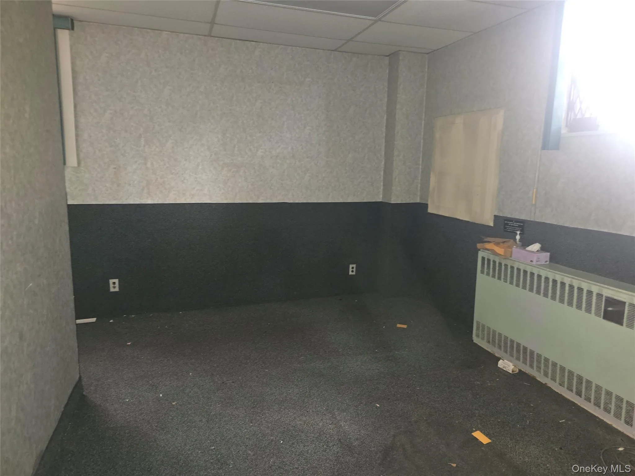 Carpeted spare room with radiator and a drop ceiling Carpeted spare room with radiator and a drop ceiling