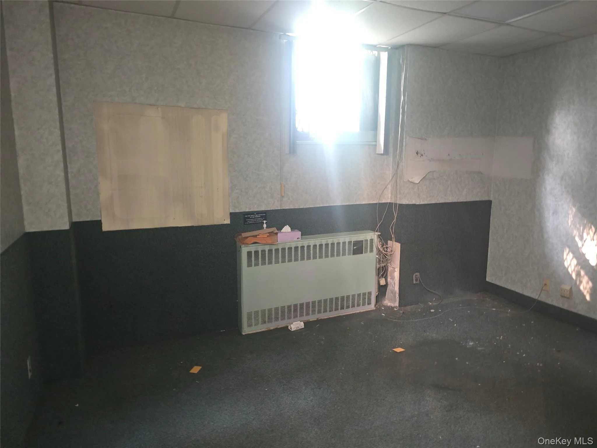 Empty room featuring radiator, a paneled ceiling, and carpet Empty room featuring radiator, a paneled ceiling, and carpet