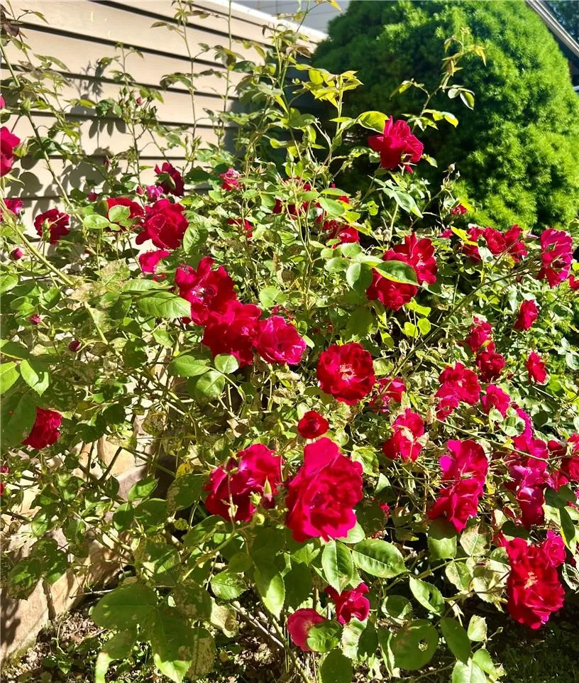 View of exterior details View of exterior details