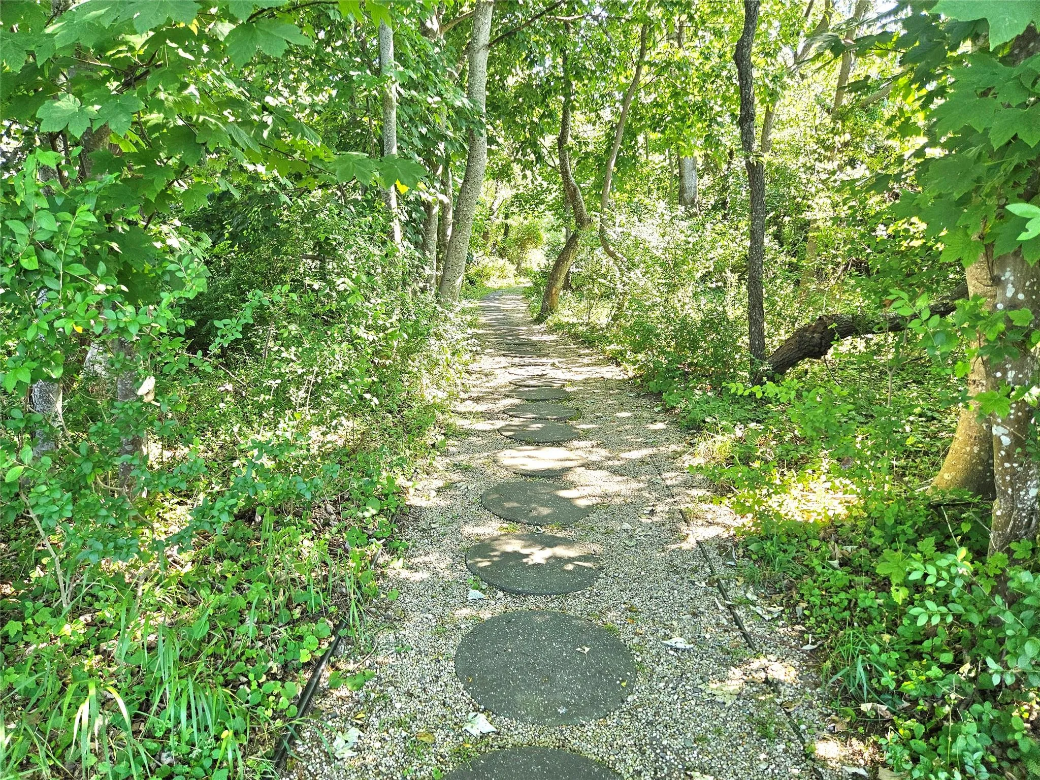 The Darling Hidden Pathway To Paradise The Darling Hidden Pathway To Paradise