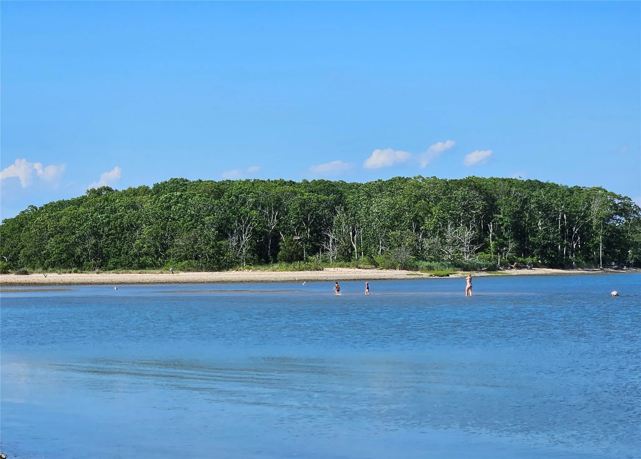 Looks Like A Fabulous Low Tide At This Hour! Wade-able! Looks Like A Fabulous Low Tide At This Hour! Wade-able!