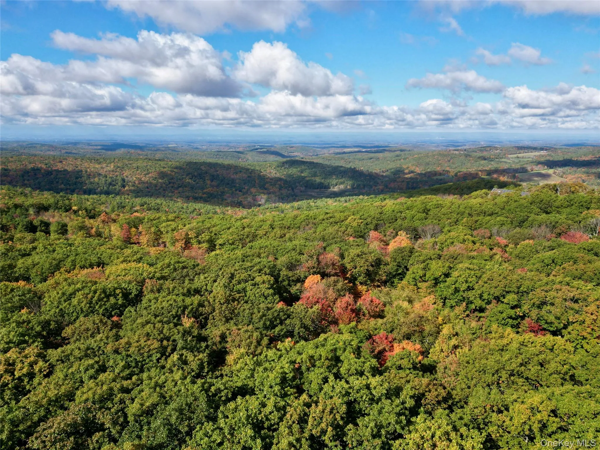 Aerial view of a heavily wooded area Aerial view of a heavily wooded area