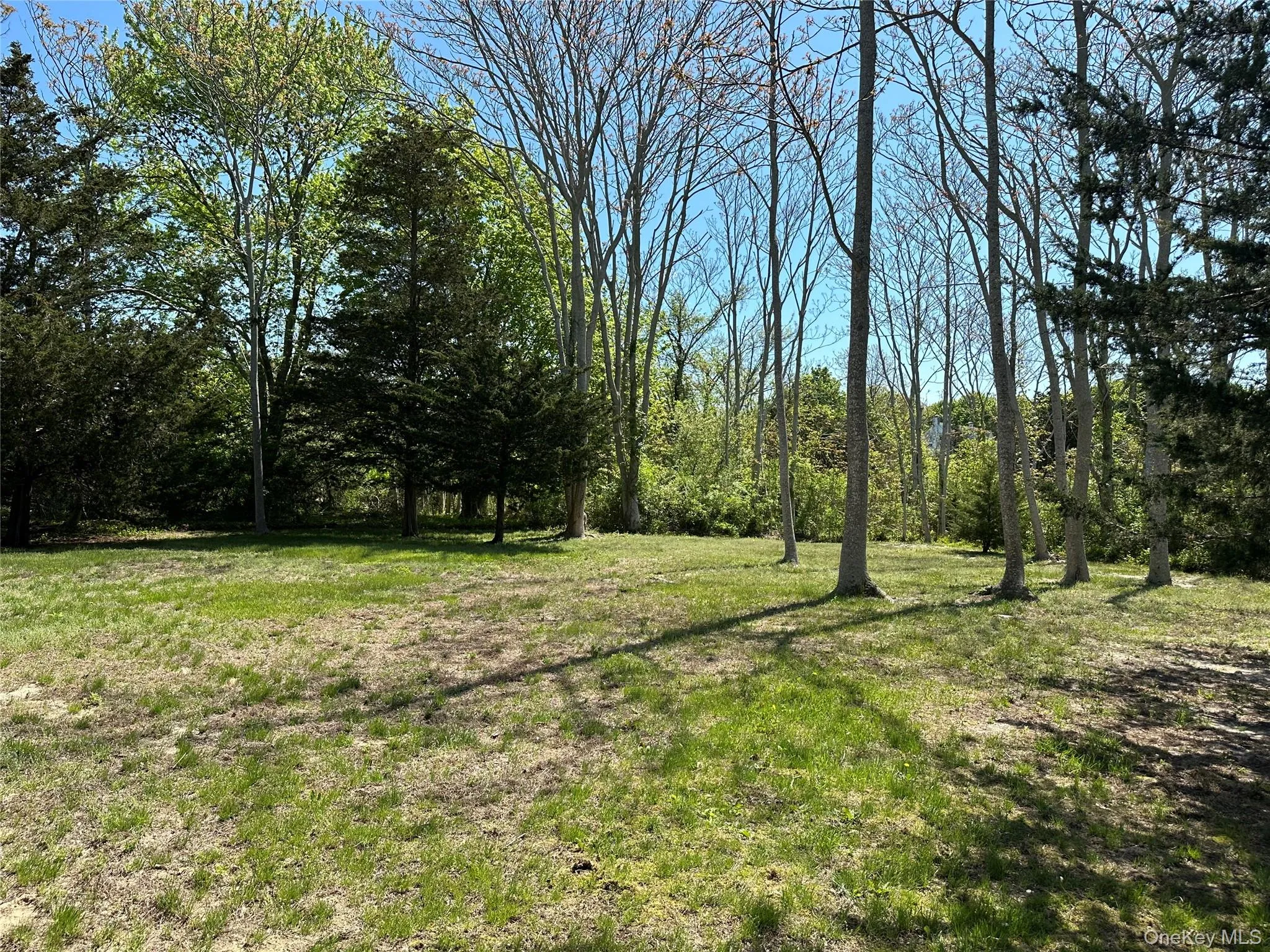 View of grassy yard View of grassy yard