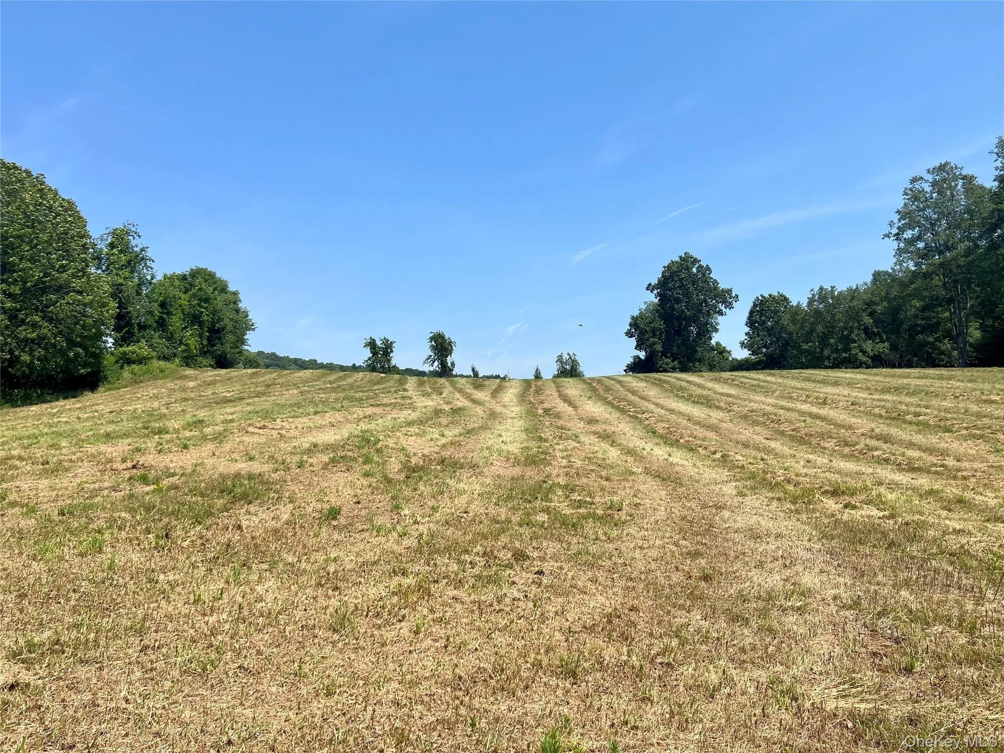 Field Field